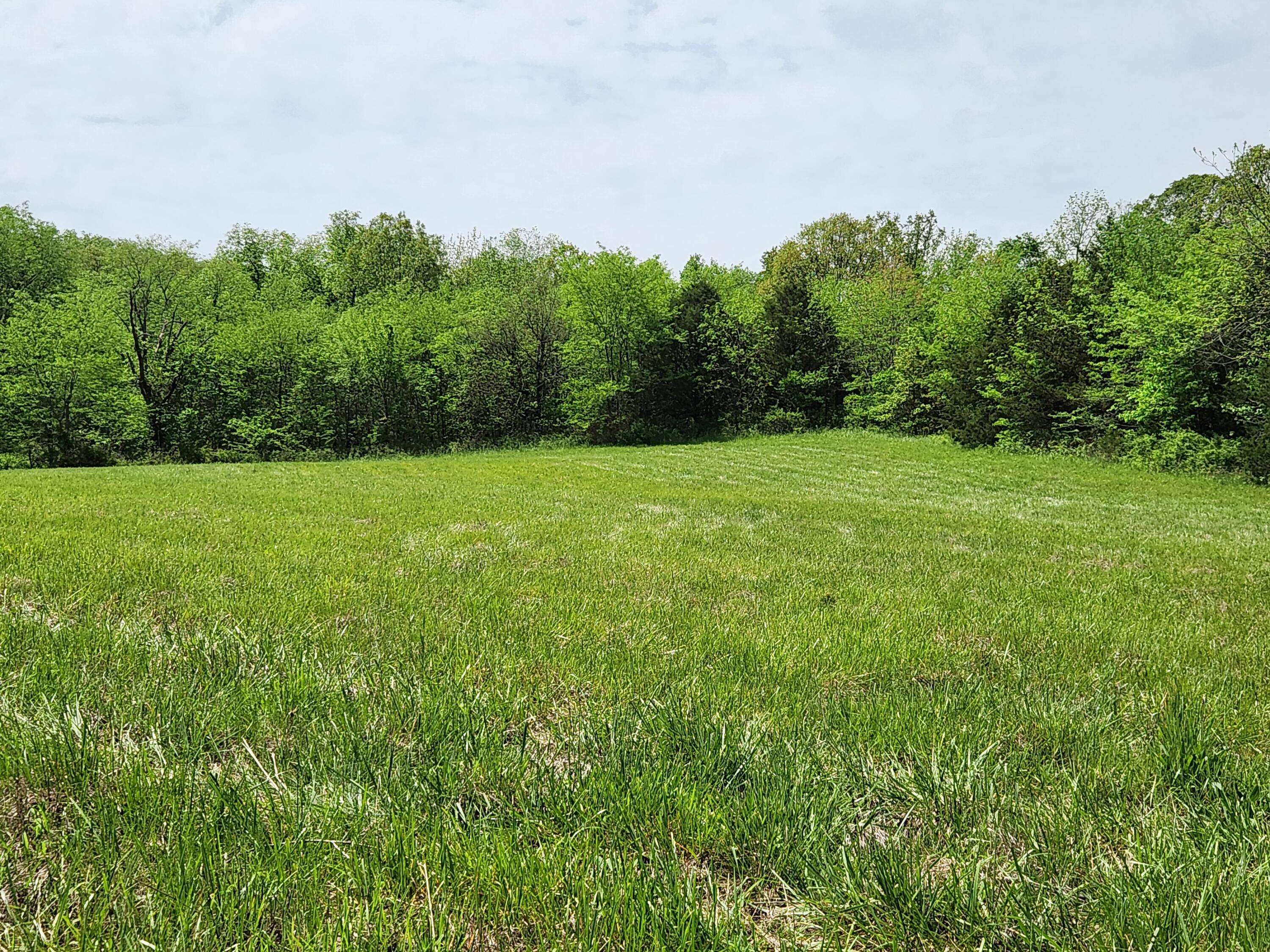 Marshfield, MO 65706,000 River Pass Dr Lot 11 Phase 2