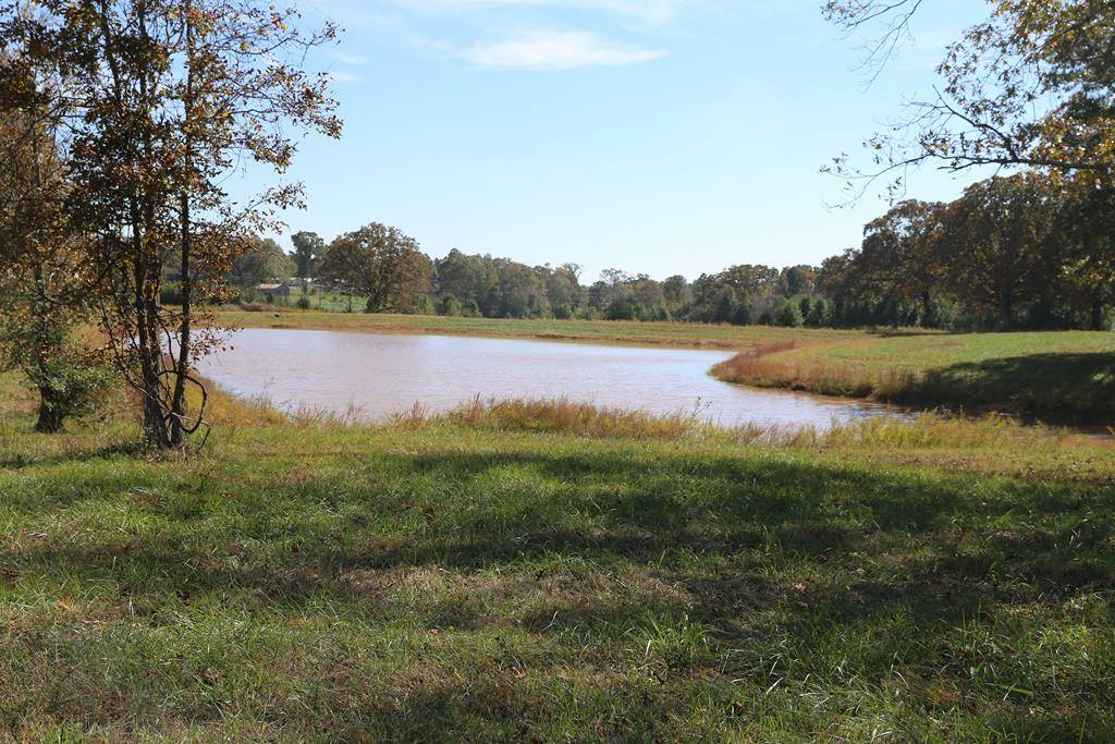 West Plains, MO 65775,2006 Big Deer Run #Lot 1