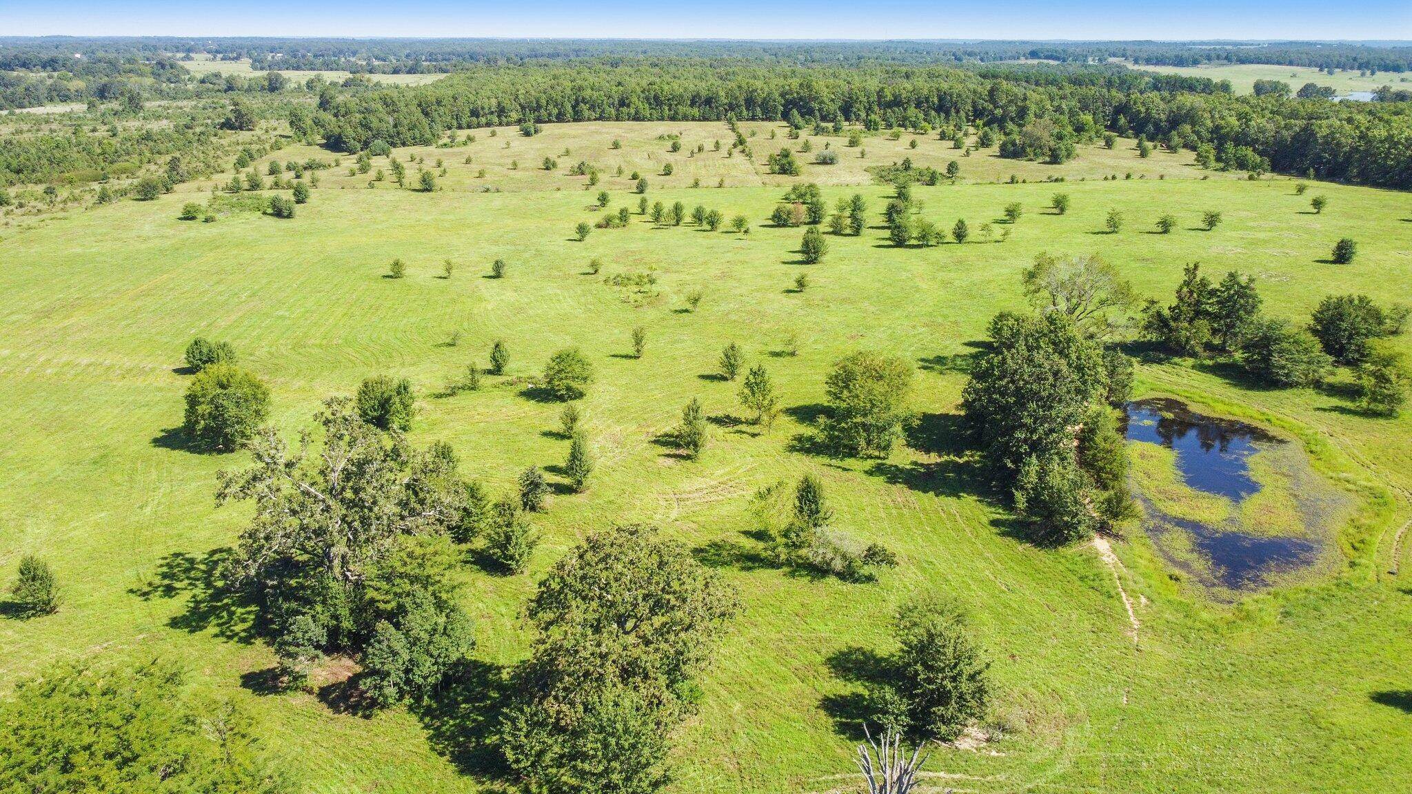 West Plains, MO 65775,000 State Route 17 S