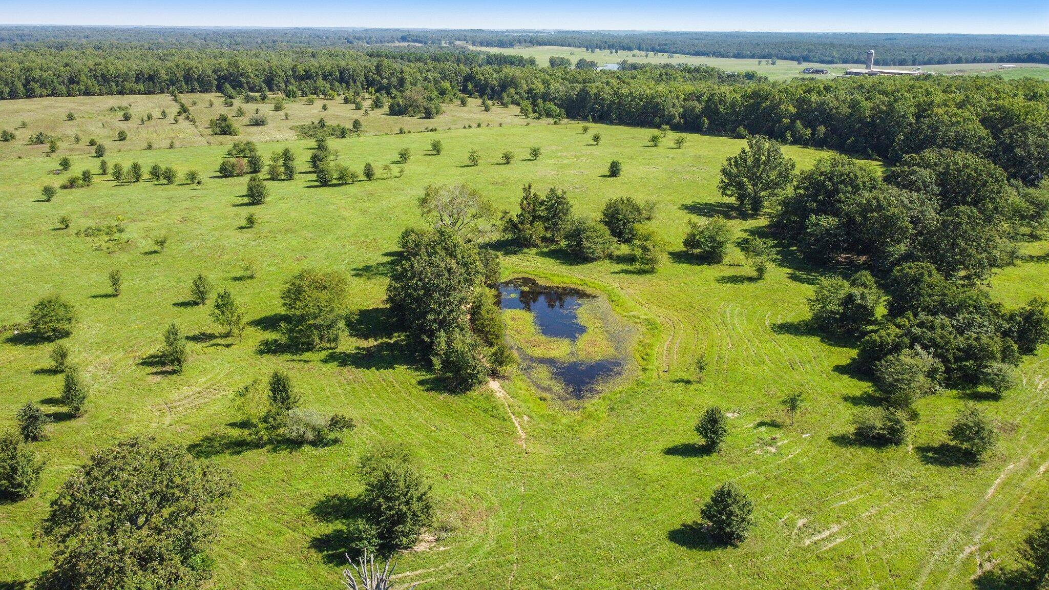 West Plains, MO 65775,000 State Route 17 S