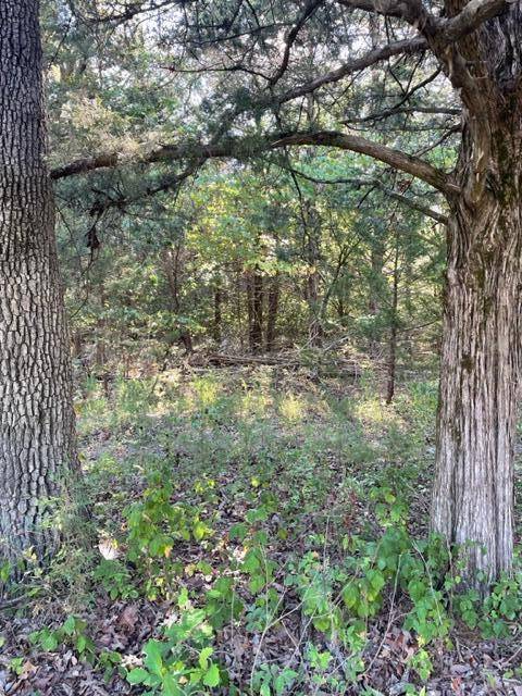 Wheatland, MO 65779,Tbd Cr 203