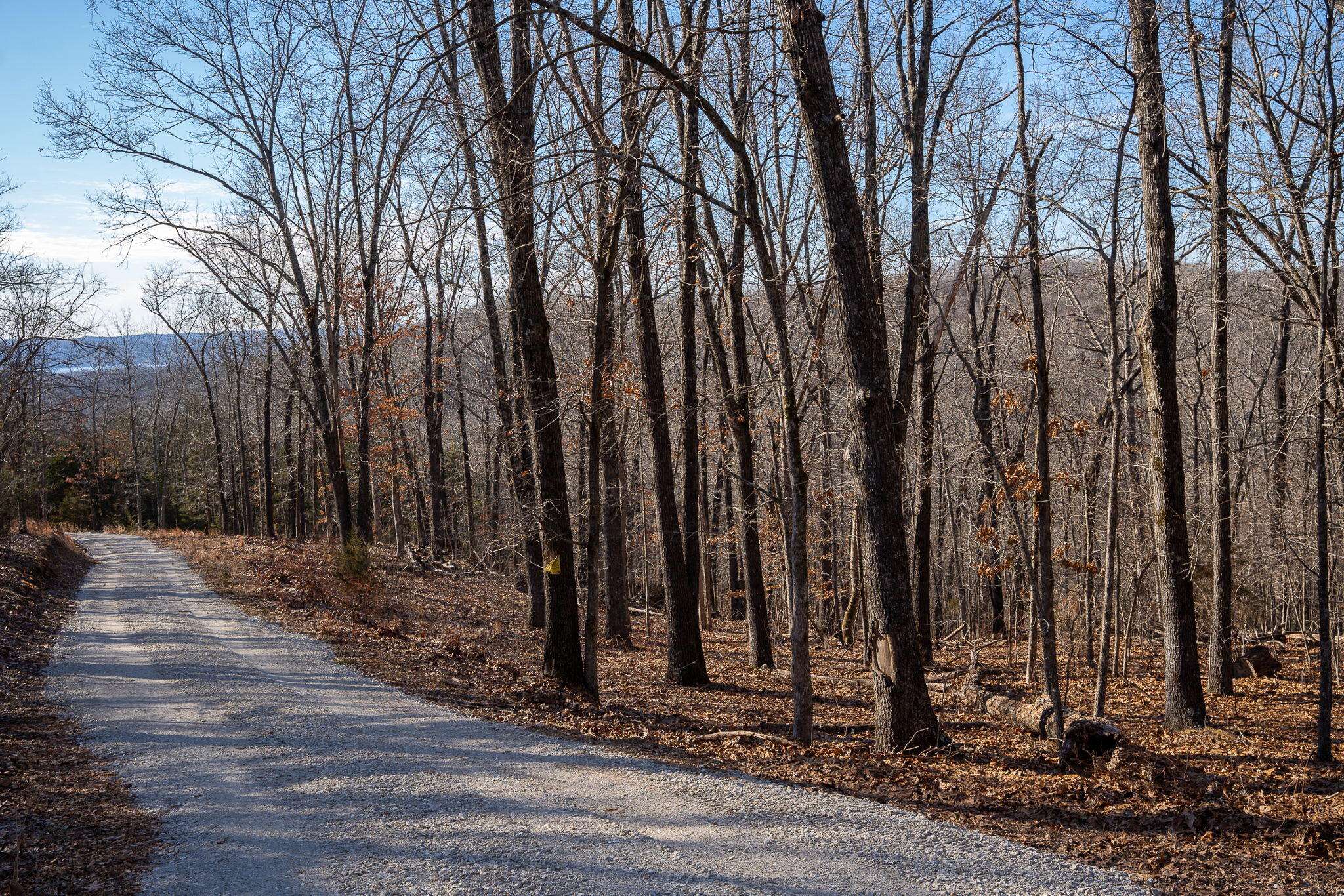 Kimberling City, MO 65686,Tbd Northwoods Drive