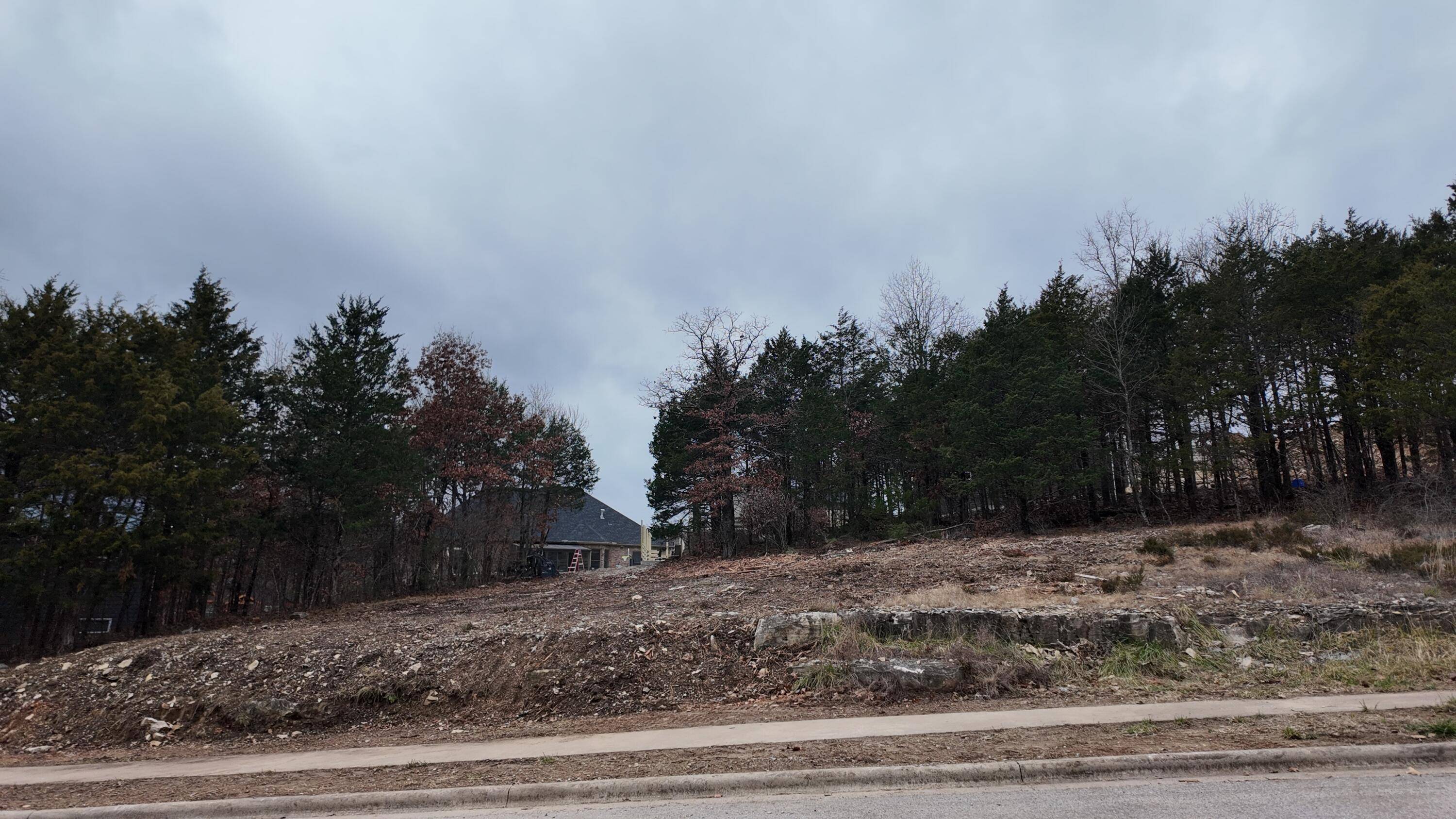 Branson, MO 65616,119 Cottonwood Circle