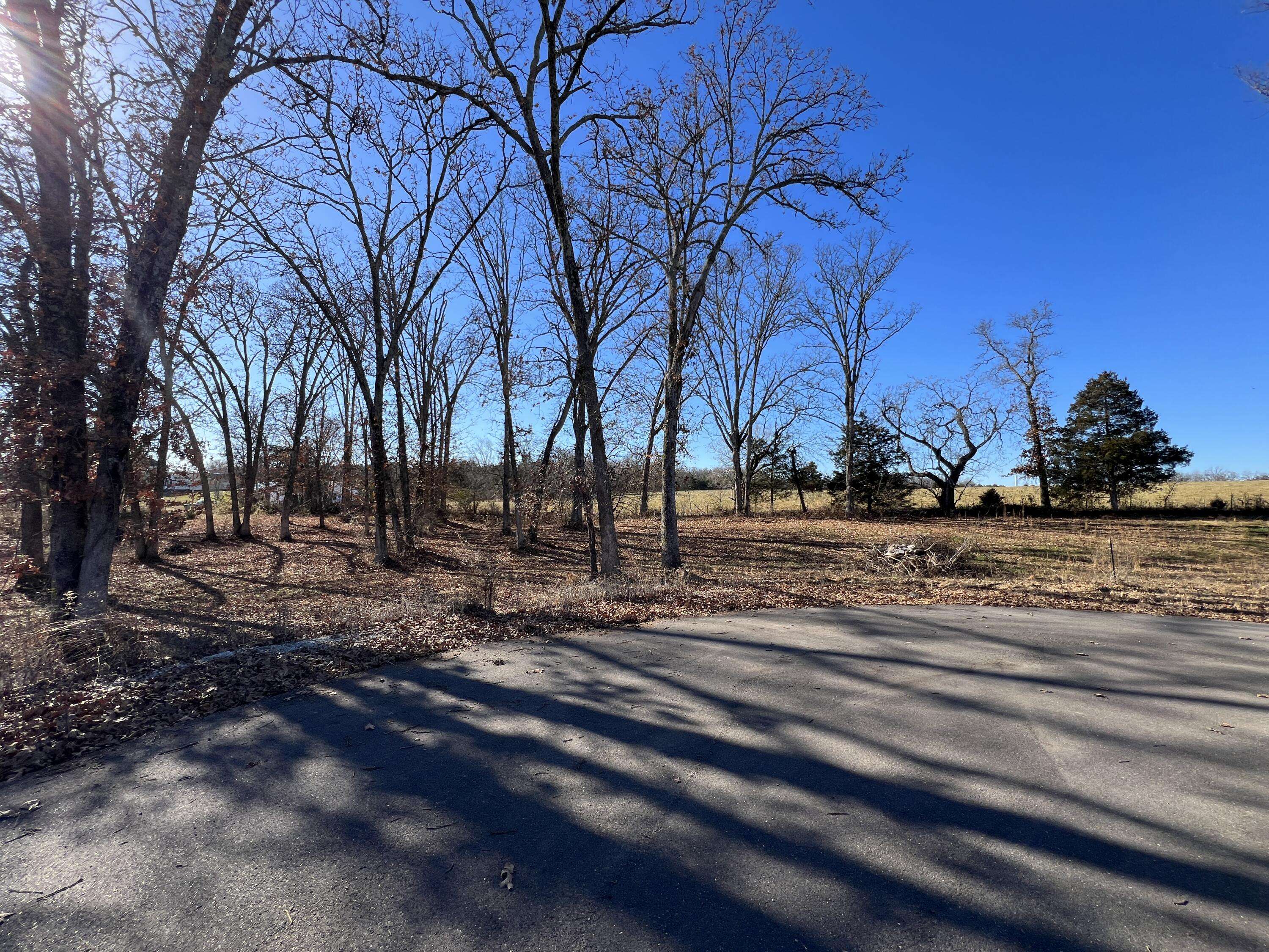 Willow Springs, MO 65793,8 Cedar Lane
