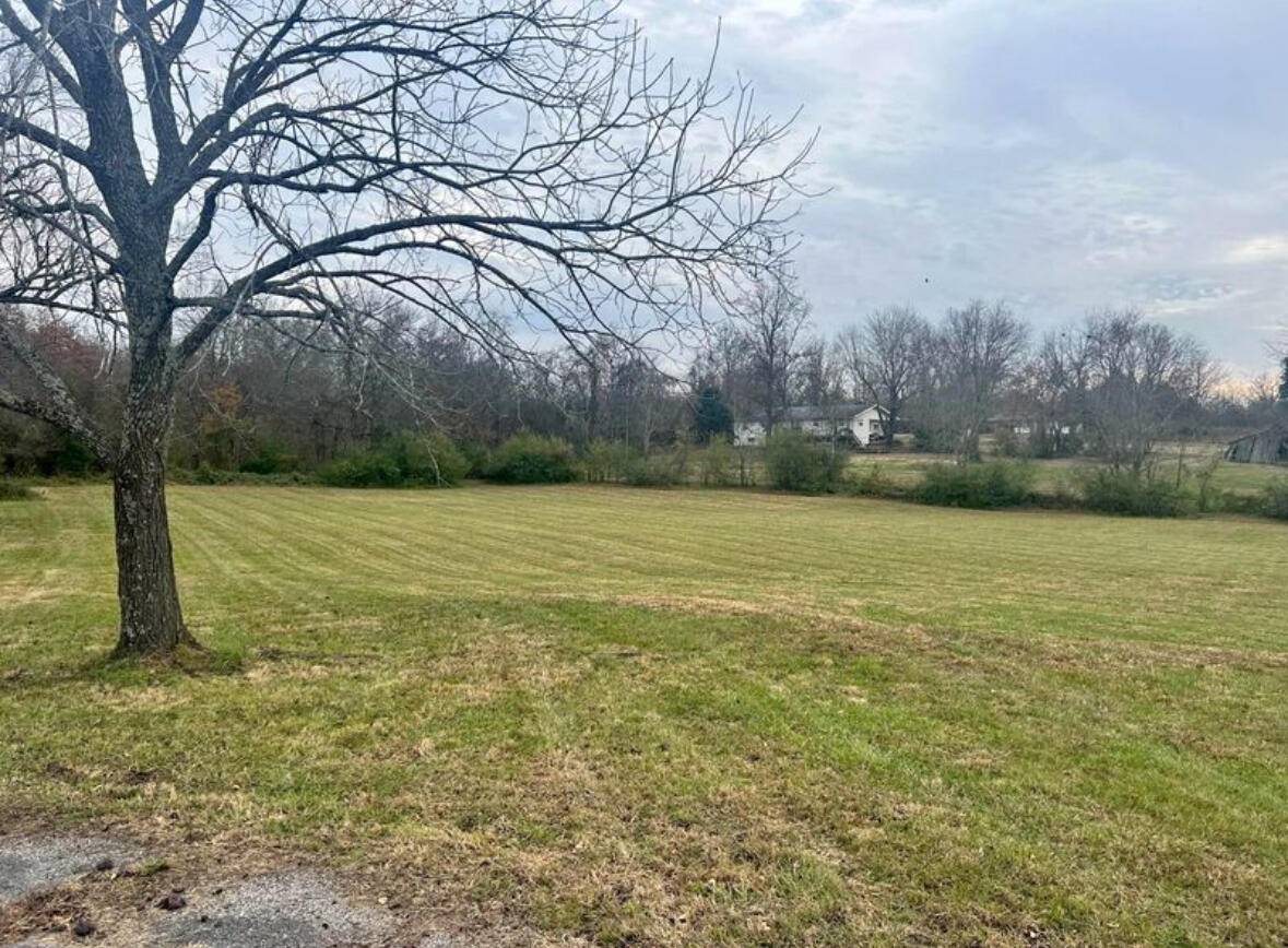 Ash Flat, AR 72513,000 Lot 8 & 9, Block 1 Sisney Drive