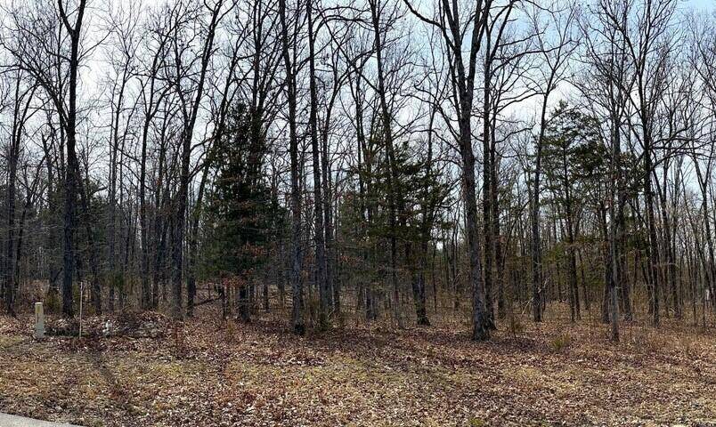 Shell Knob, MO 65747,Lot 81 Eagles Point/Green Cypress Lane
