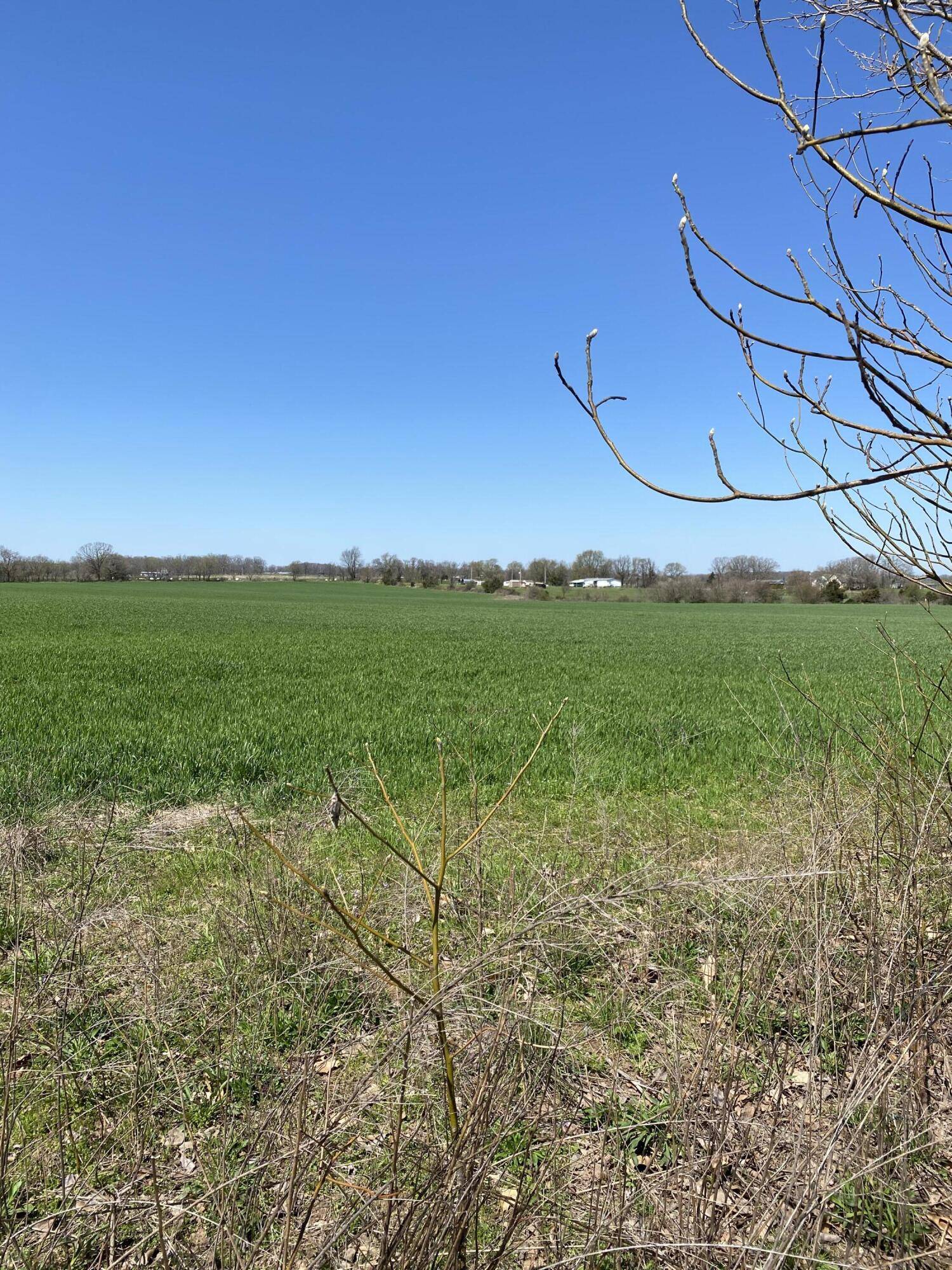 Cassville, MO 65625,000 Farm Road 1090