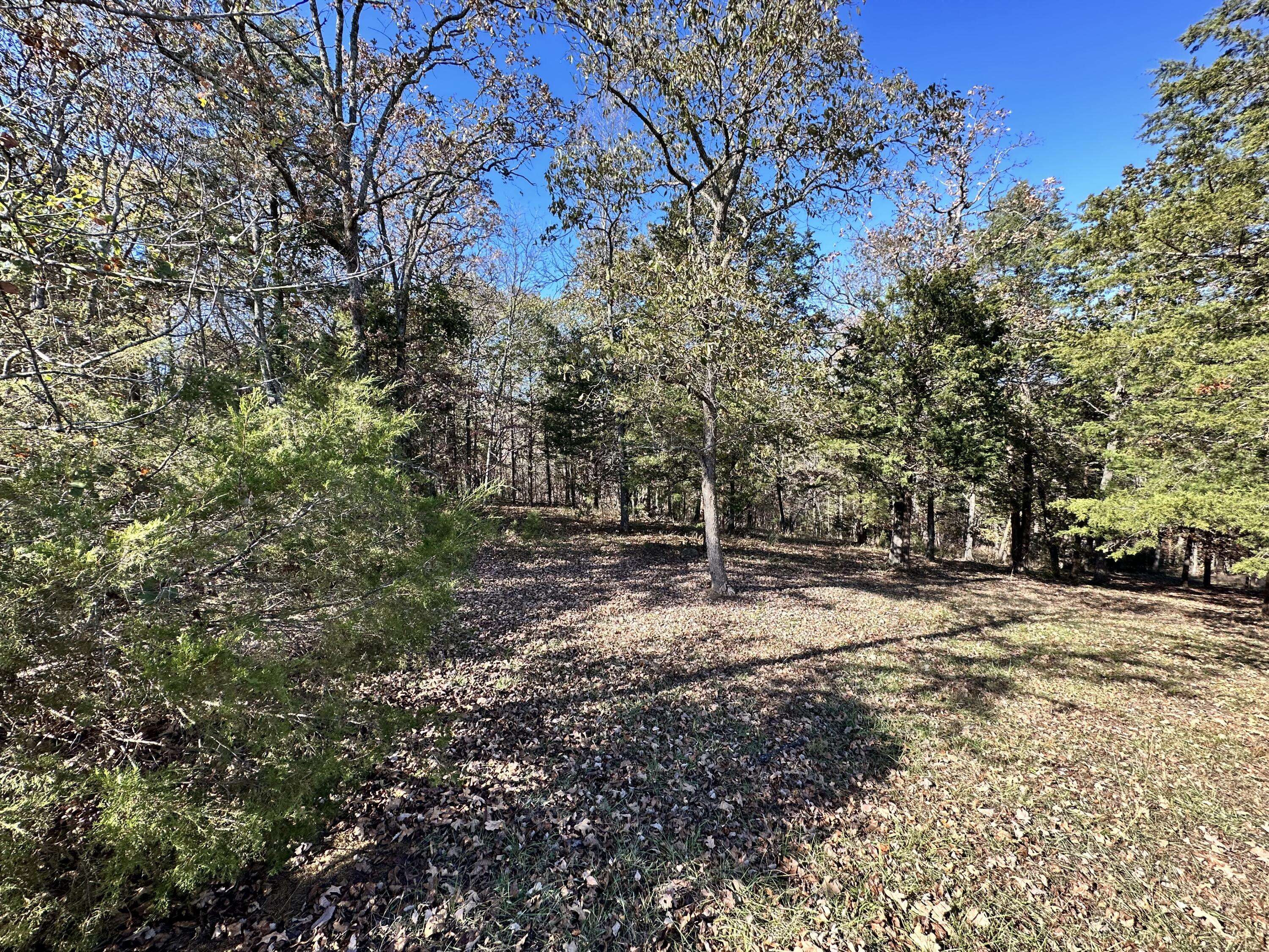 Saddlebrooke, MO 65630,Lots 36 37 Appaloosa Trail