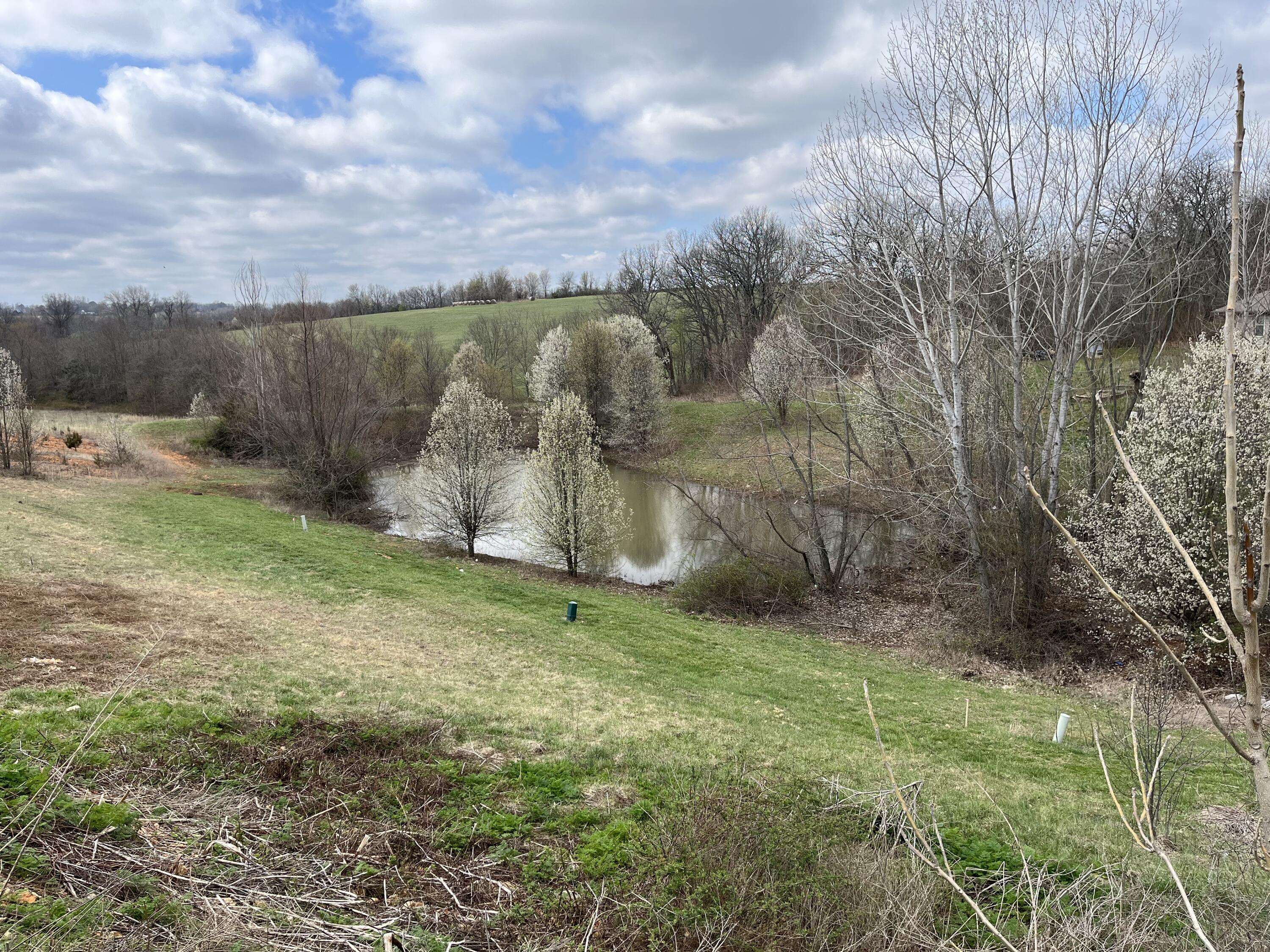 Nixa, MO 65714,843 S Black Sands Avenue #Lot 115