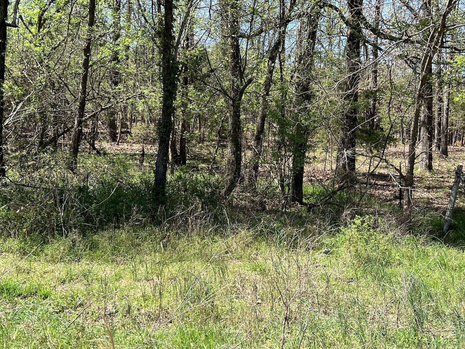 Ash Flat, AR 72513,000 Golden Star Street