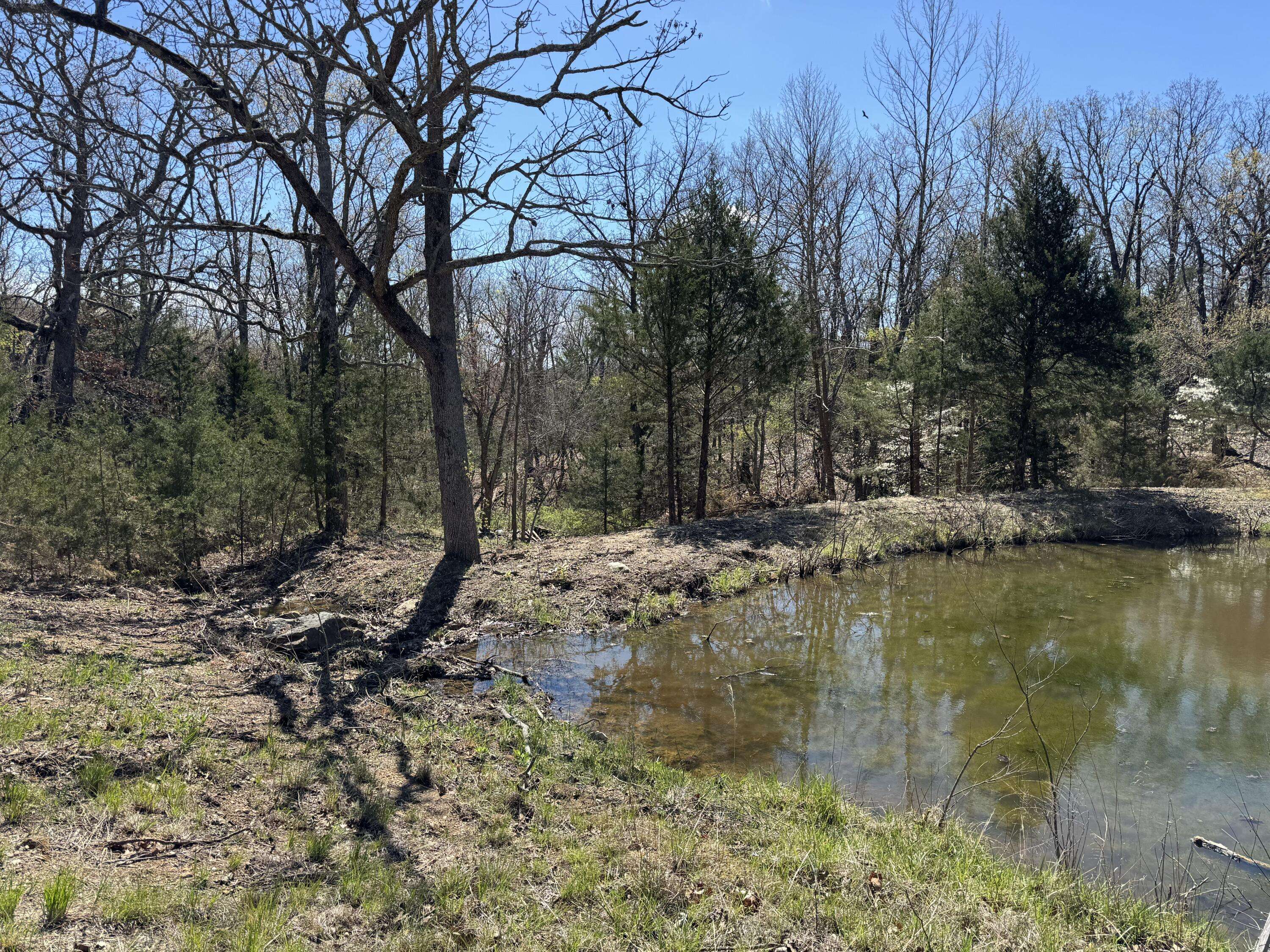 Flemington, MO 65650,000 E 325th Road
