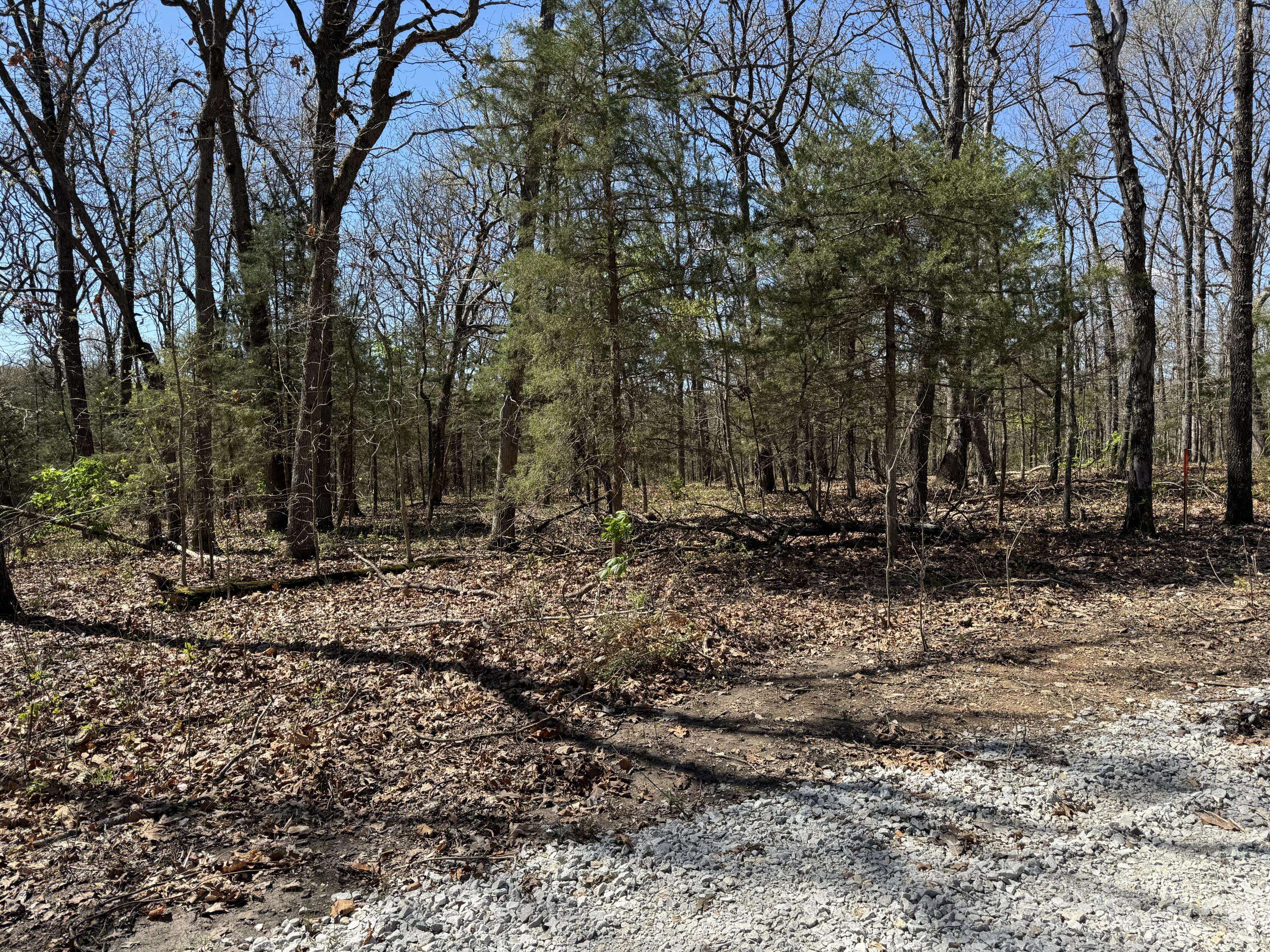 Flemington, MO 65650,000 E 325th Road