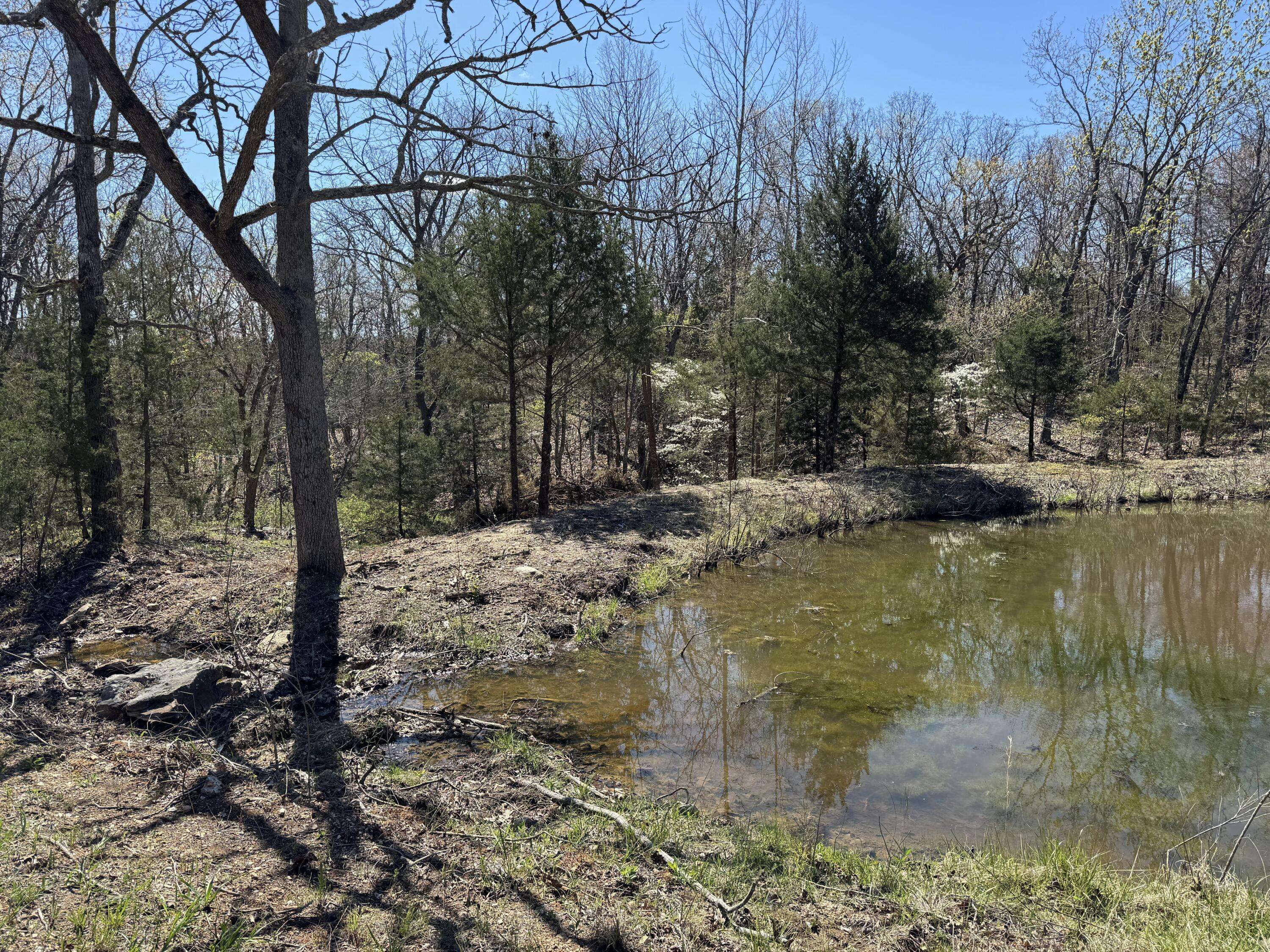 Flemington, MO 65650,000 E 325th Road
