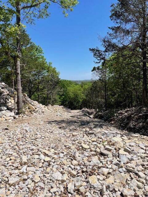 Branson West, MO 65737,125 Ridgemont Circle