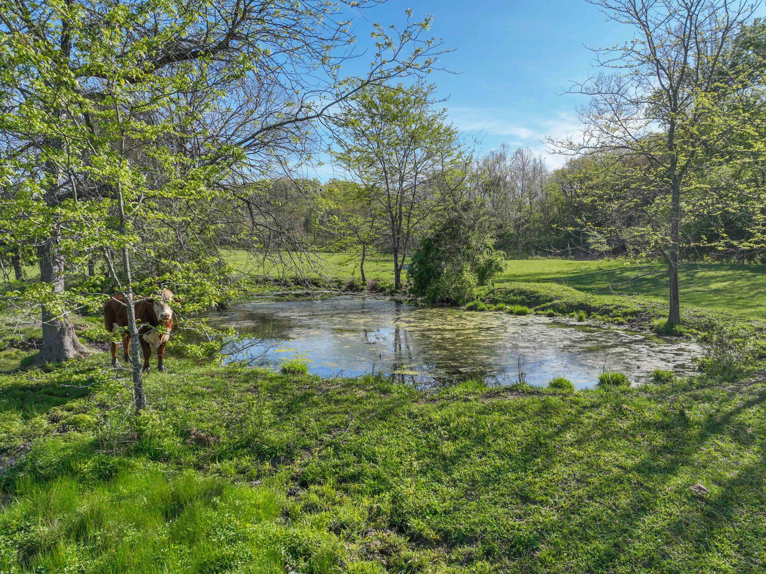 Drury, MO 65638,000 County Road 246