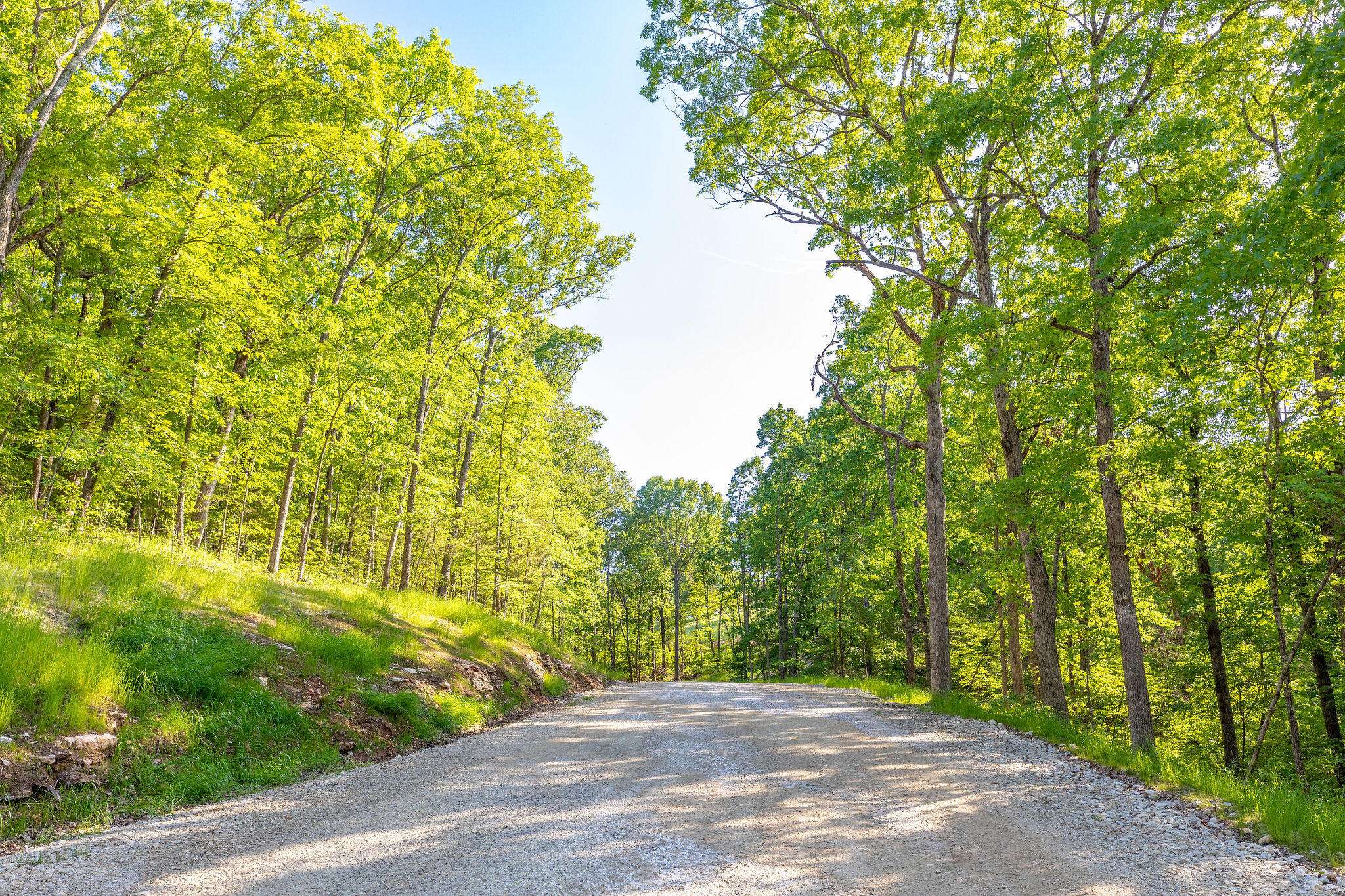 Hollister, MO 65672,306 Short Creek Trail #70