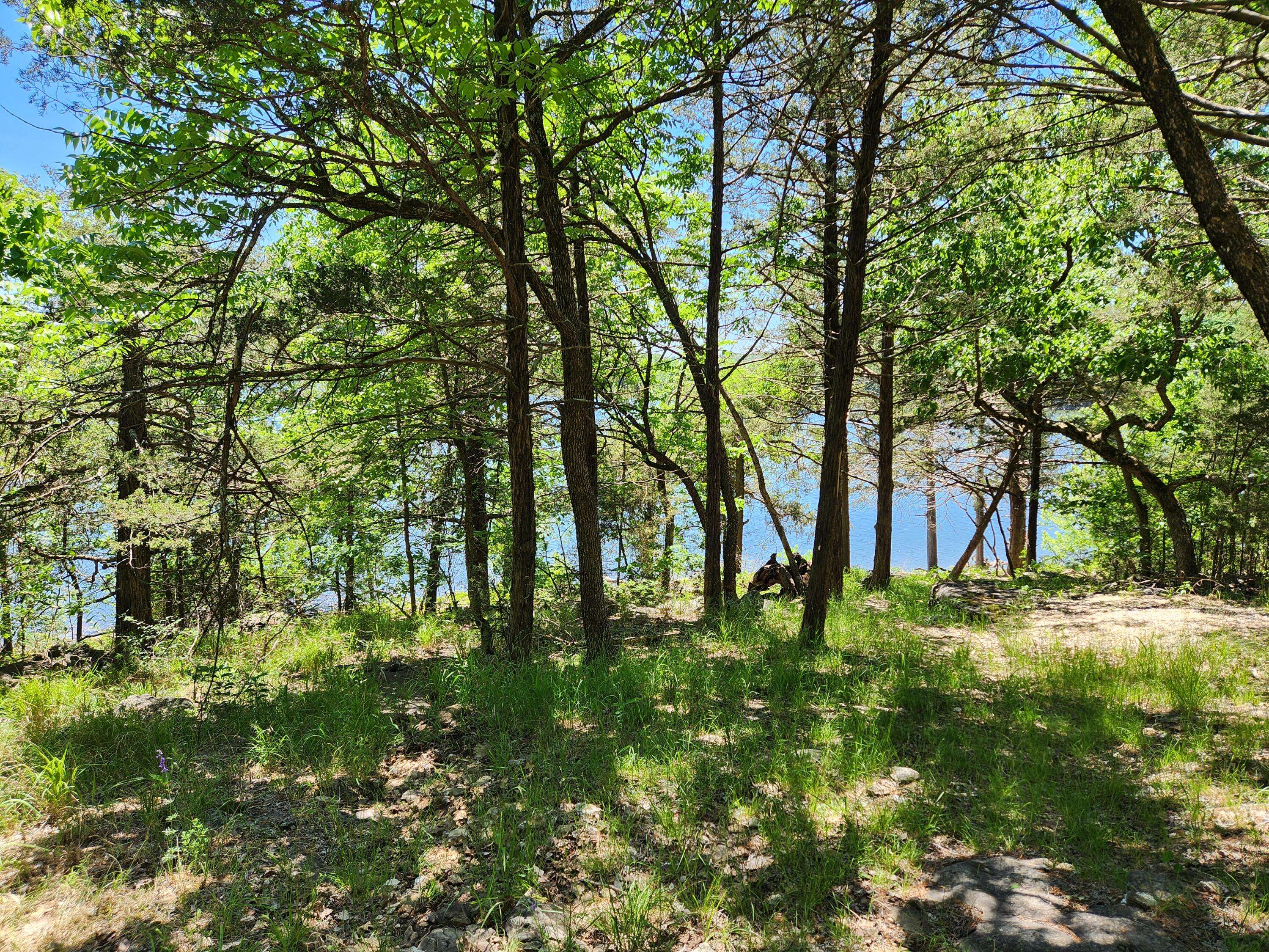 Ridgedale, MO 65739,200 Sherwood Forest Lane