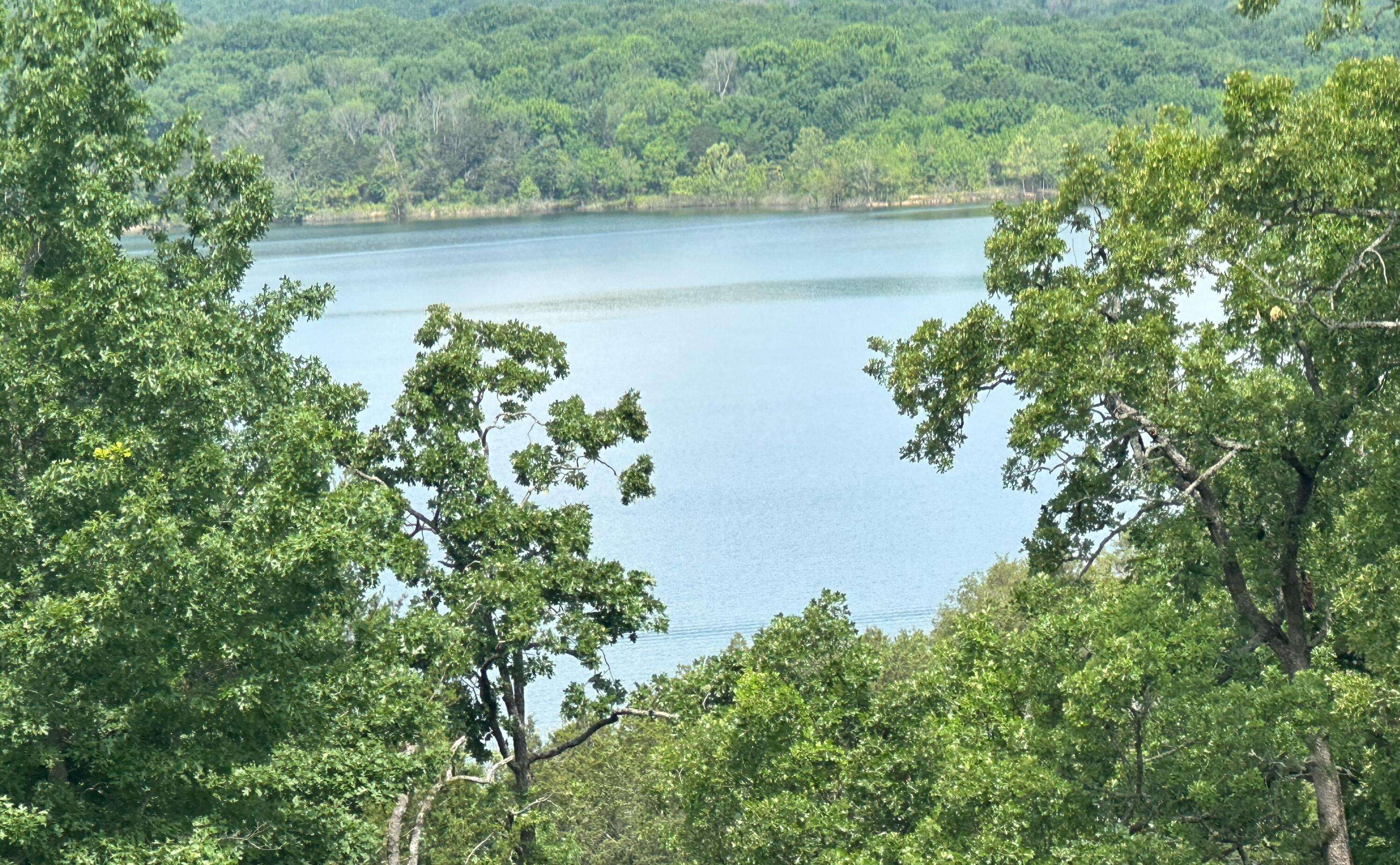 Lampe, MO 65681,22 Merlot Road