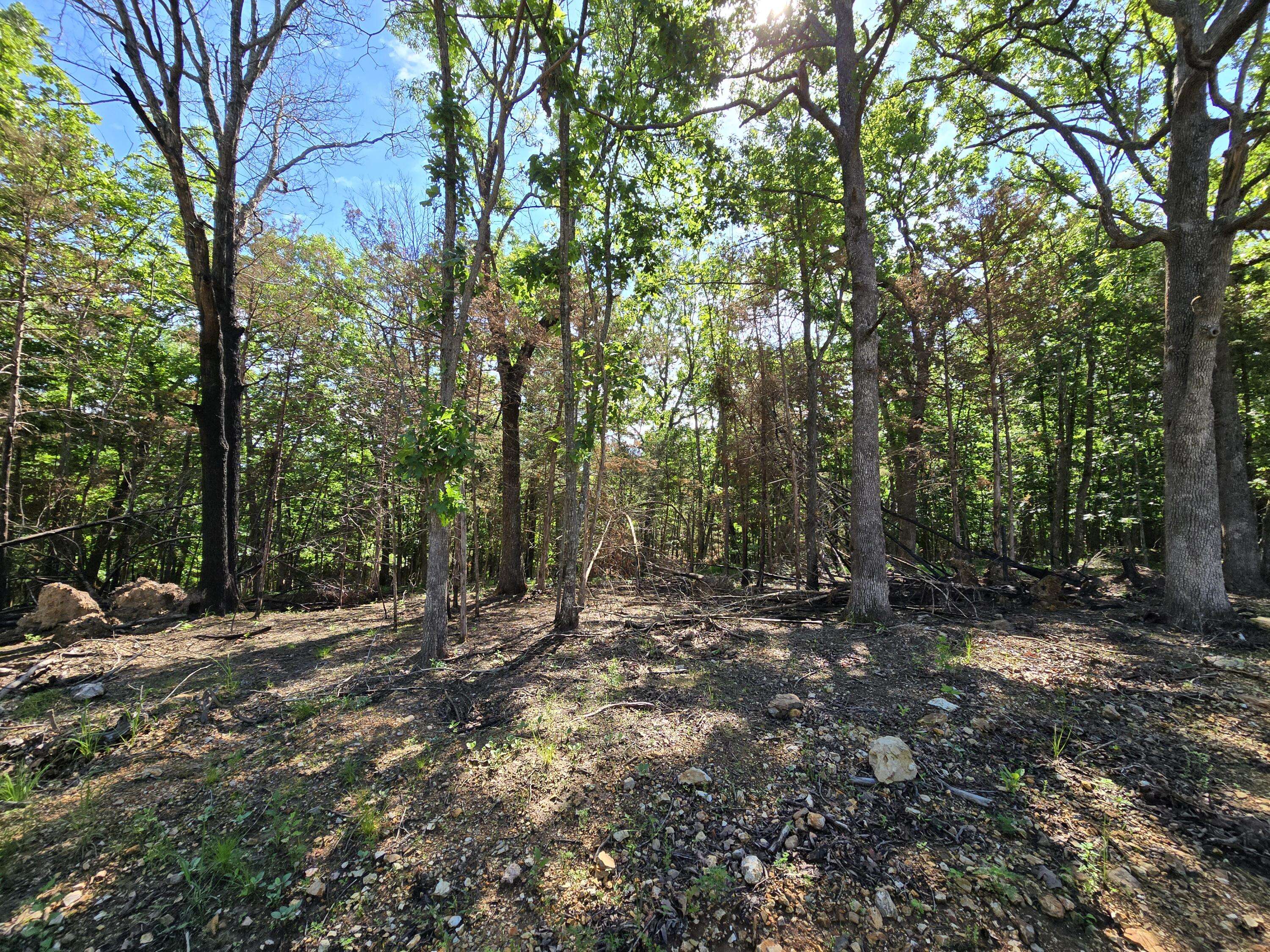 Pittsburg, MO 65724,Lot 7 Block 12 Tall Oaks
