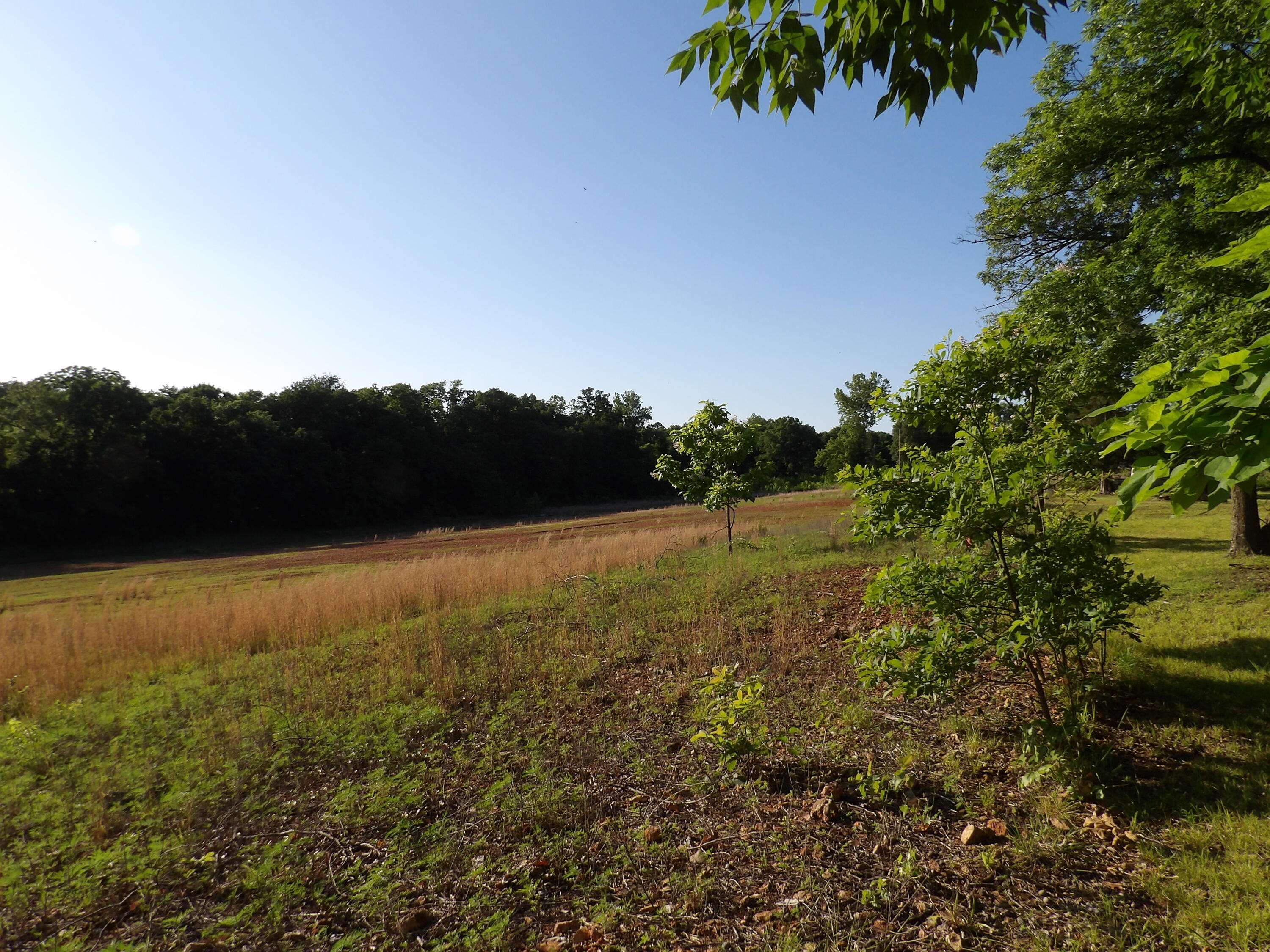 Oronogo, MO 64855,000 W Ivy Road