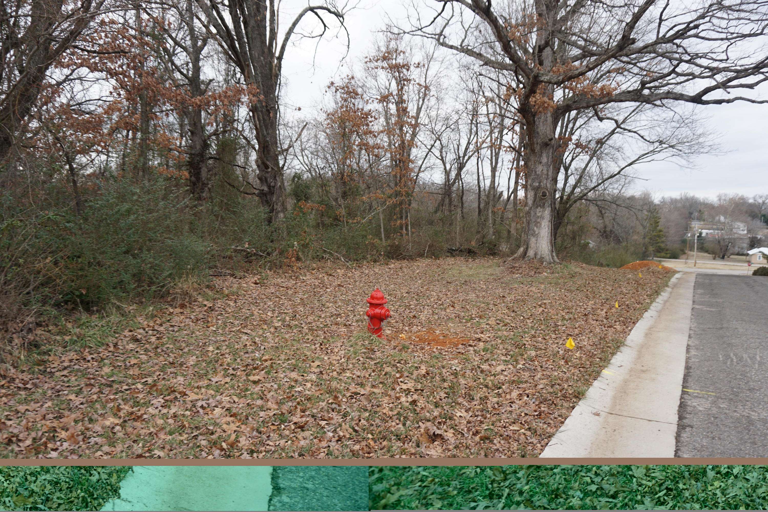 West Plains, MO 65775,217-223 Utah Ave