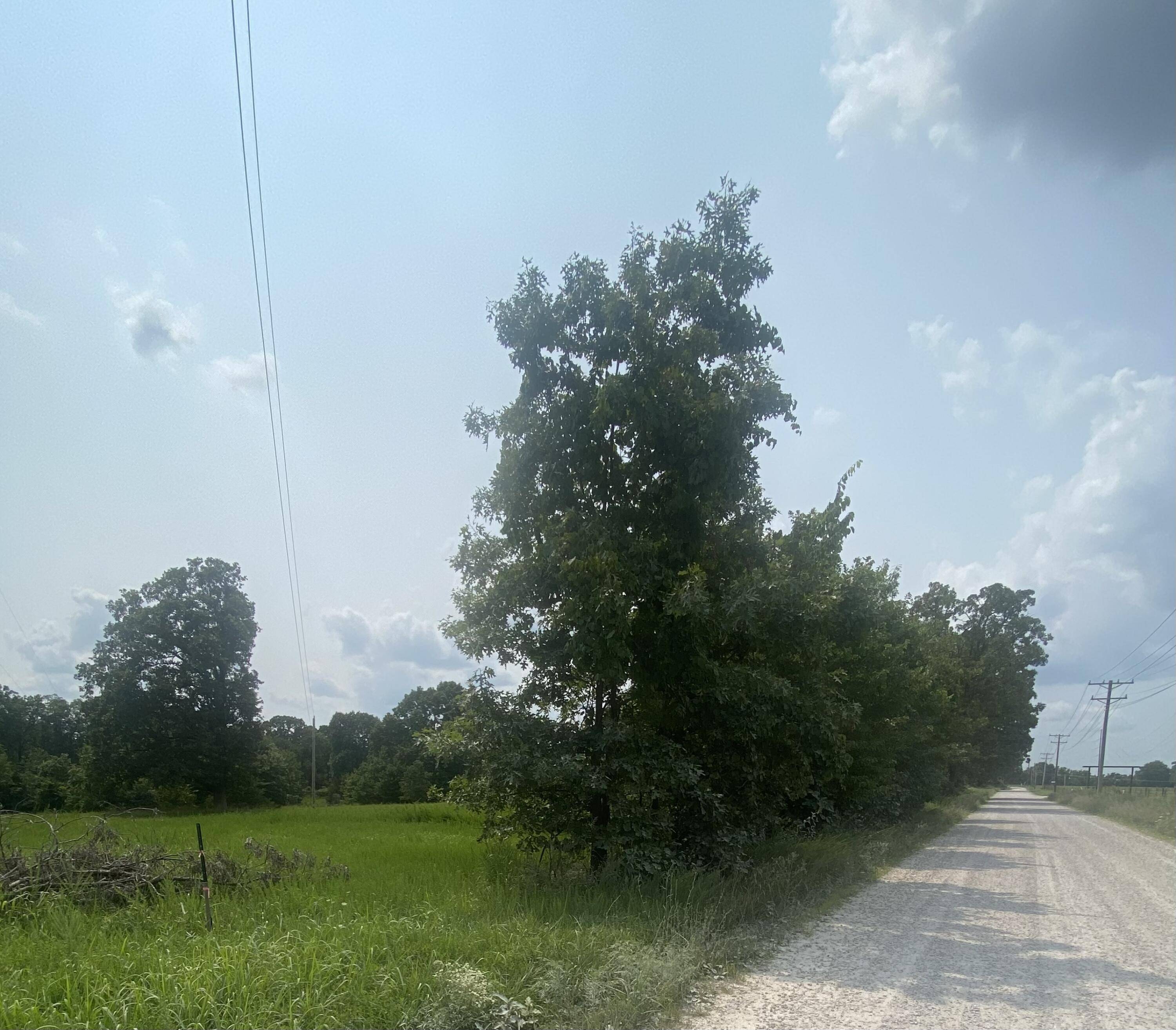 Strafford, MO 65757,000 Holman Road