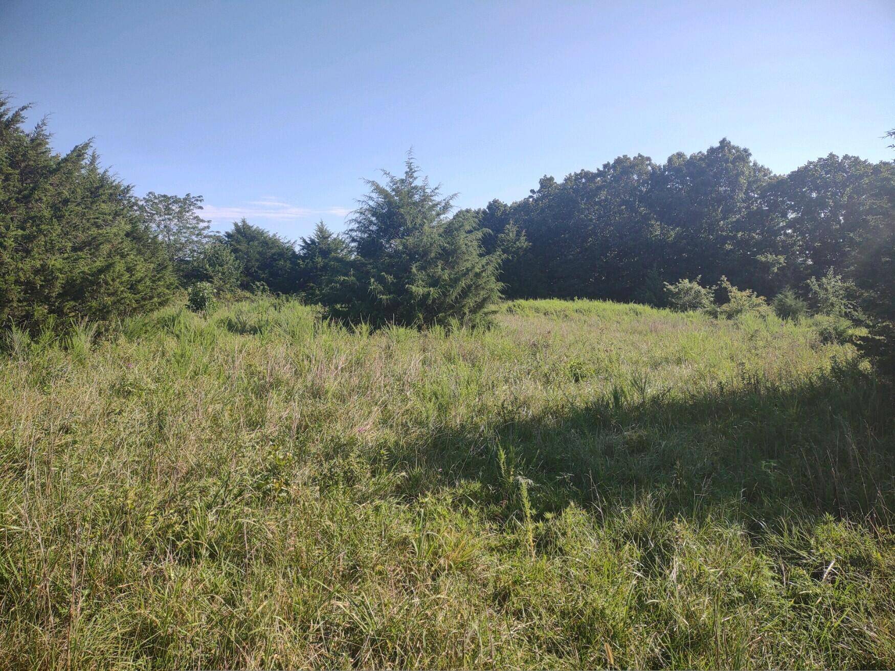 Niangua, MO 65713,000 Historic Road