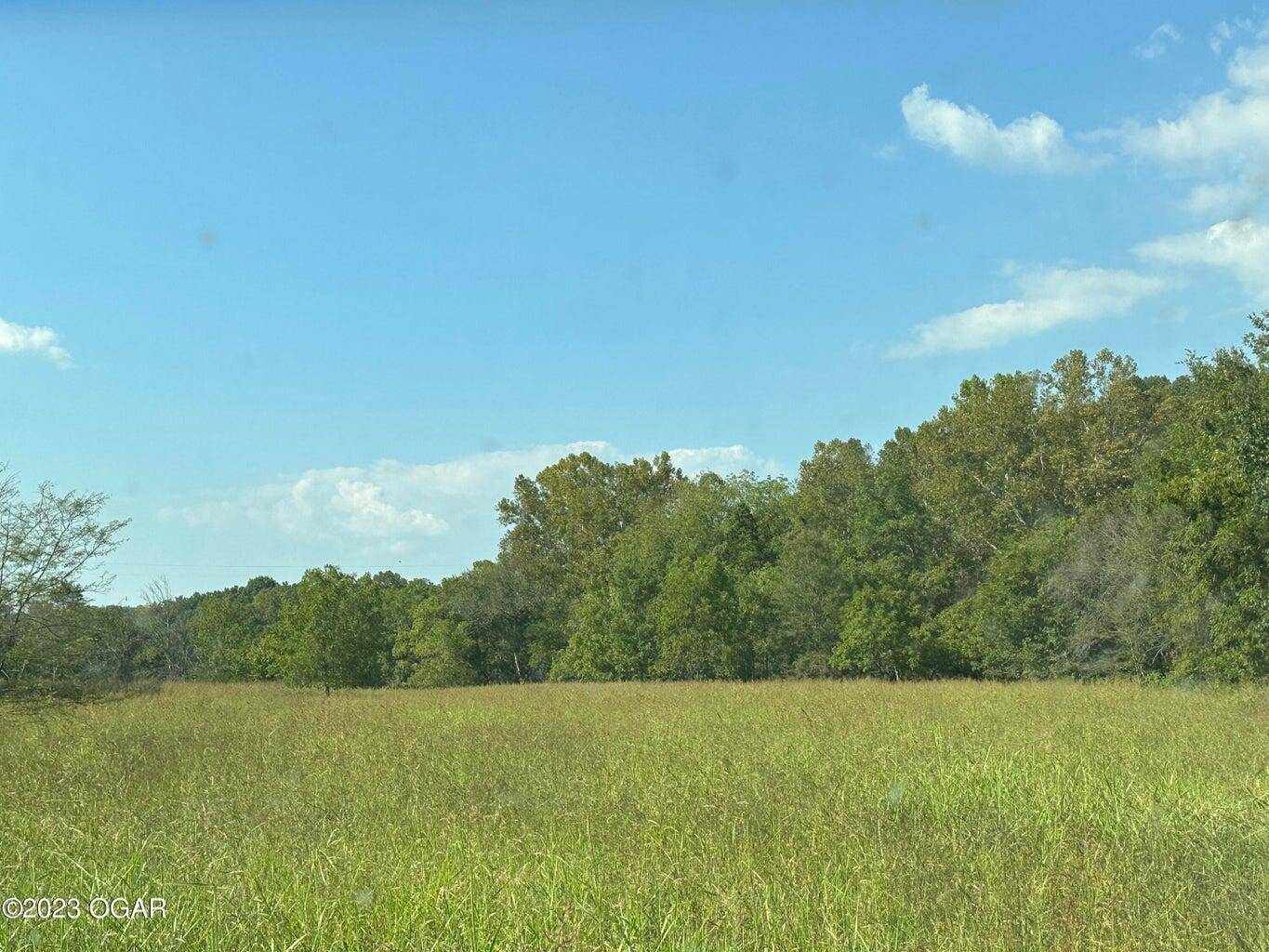Goodman, MO 64843,000 Adams Road
