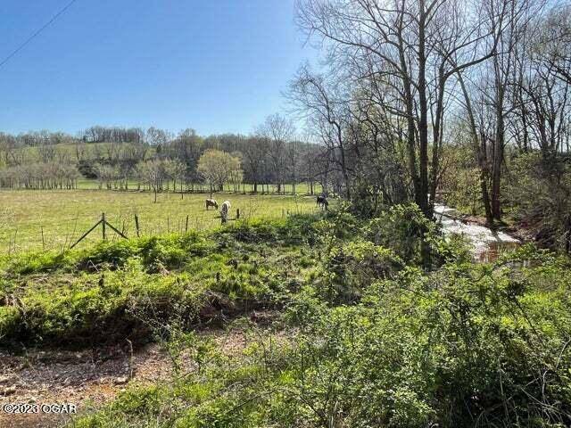 Goodman, MO 64843,000 Adams Road