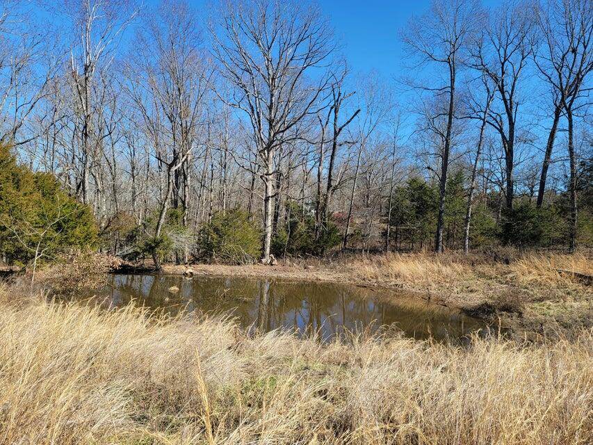 Tecumseh, MO 65760,000 County Road 530