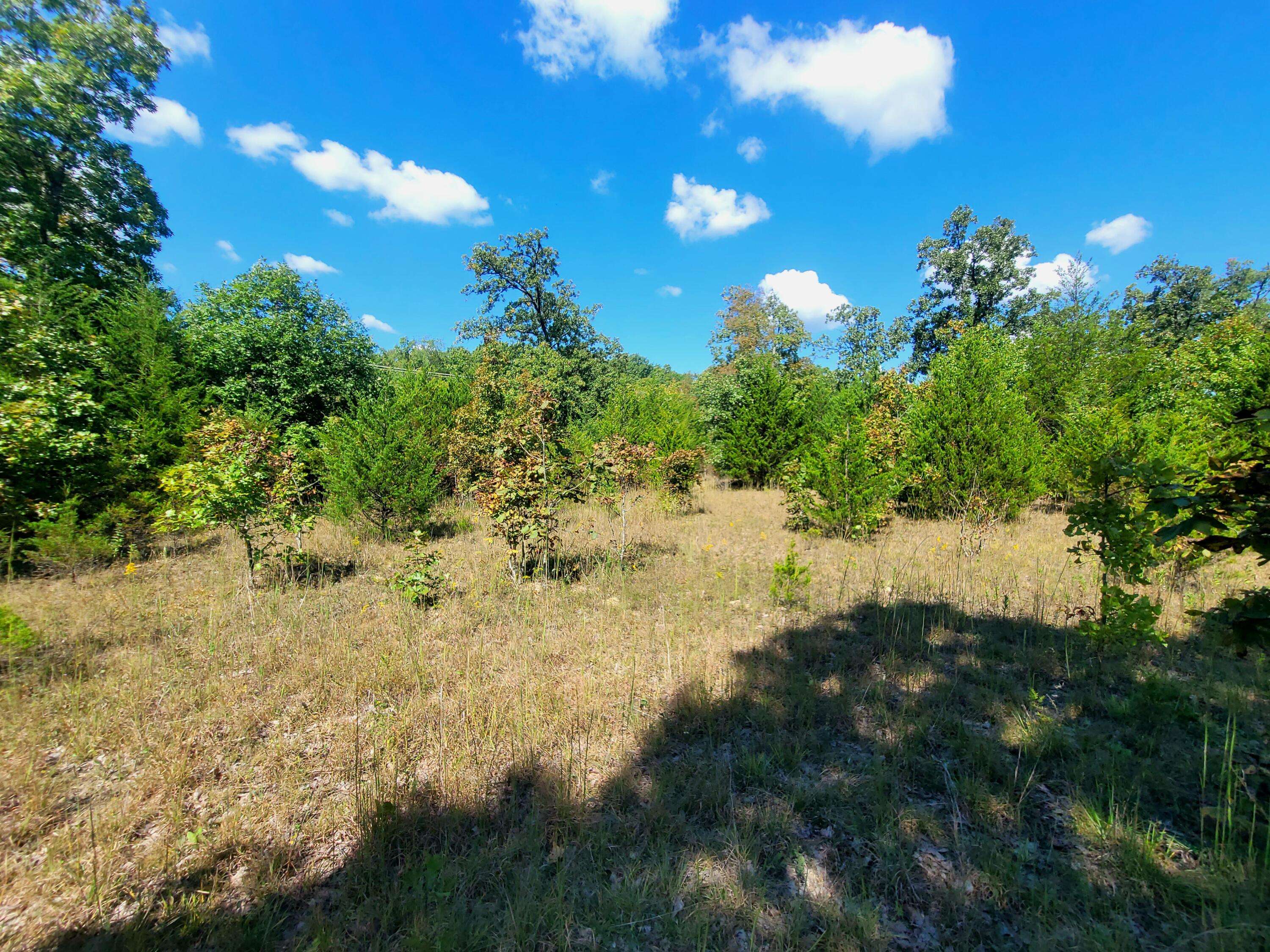 Newburg, MO 65550,000 State Route J
