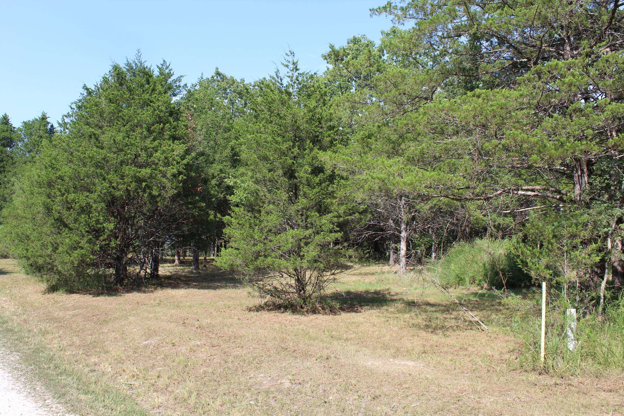 Protem, MO 65733,Lot 25 Airline Drive #Lot 25