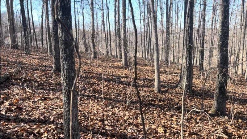 Mountain View, MO 65548,000 Private Road 3424
