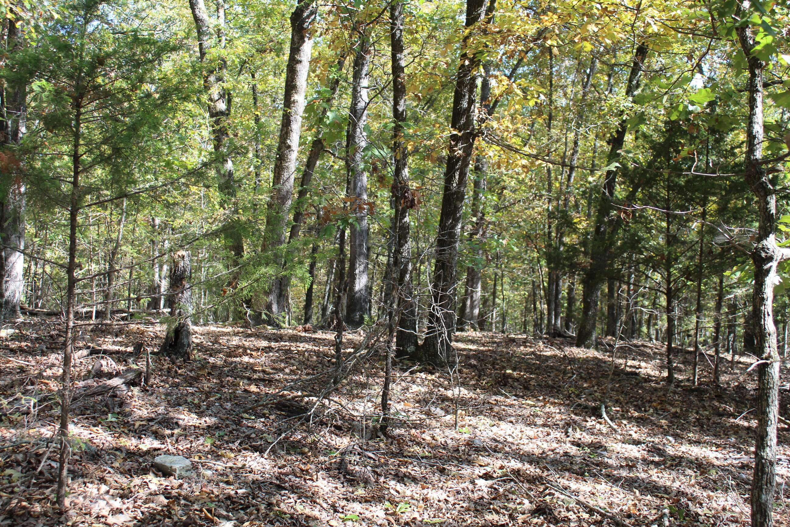 Protem, MO 65733,000 Lakeshore Road #Lot 8