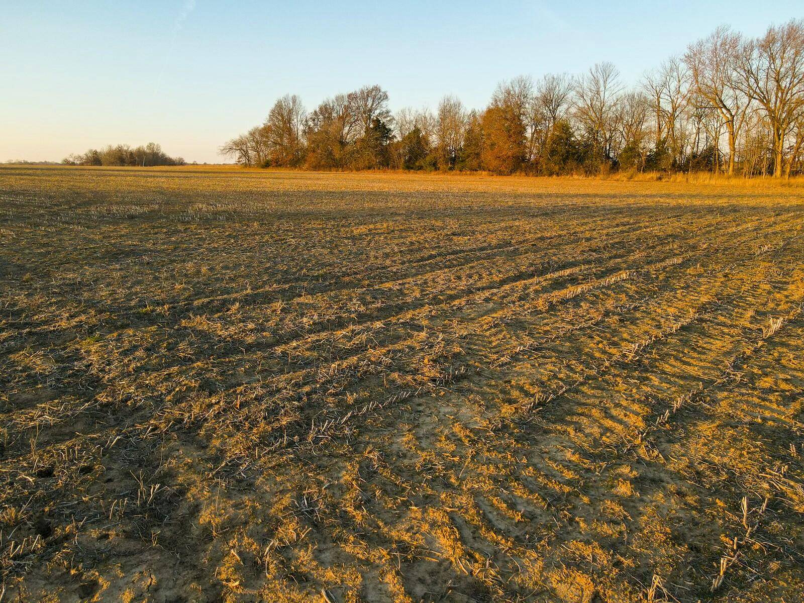 Sheldon, MO 64784,49 NW 100th Road