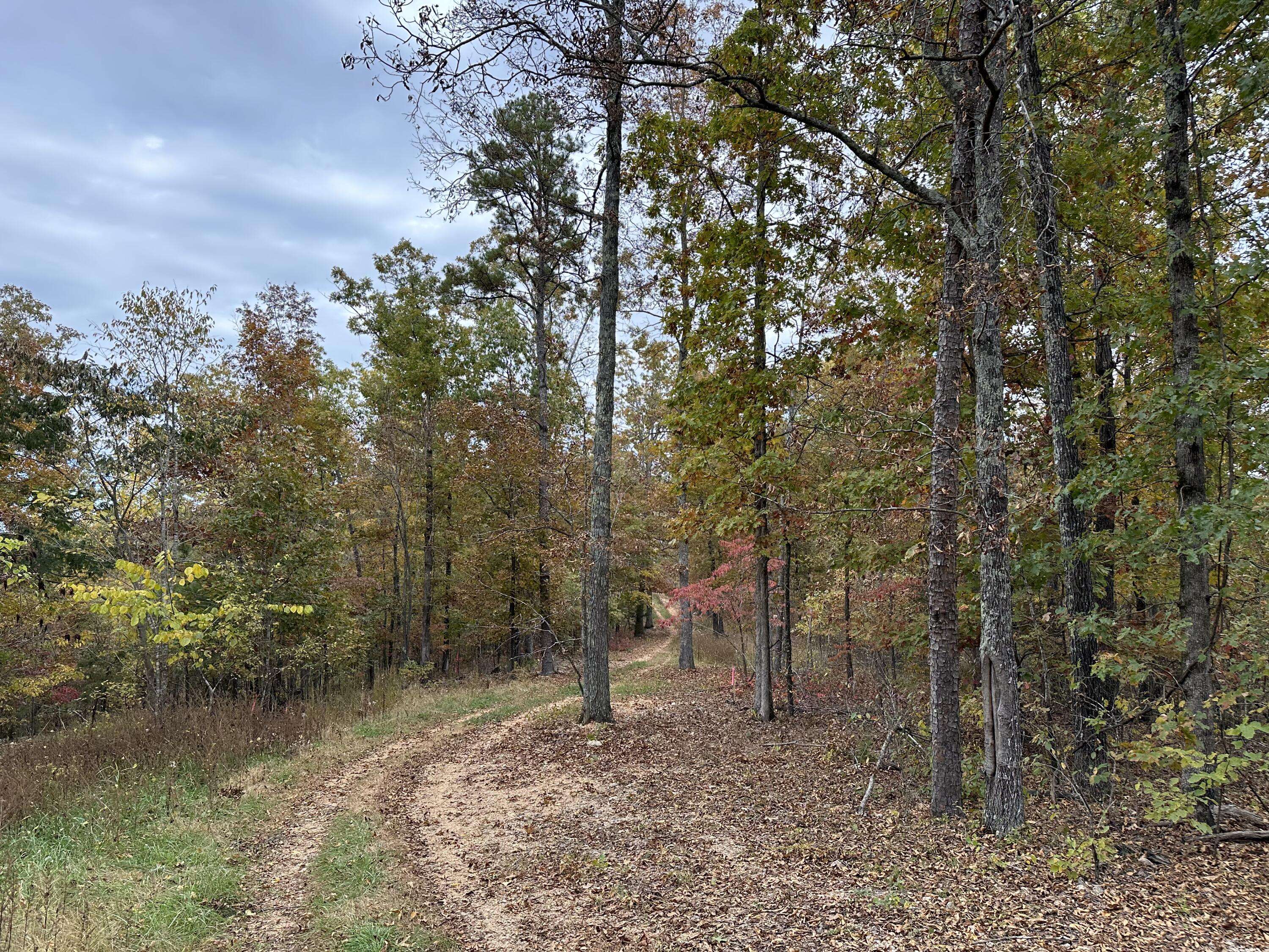 Van Buren, MO 63965,000 Payton Place Drive Lot 3