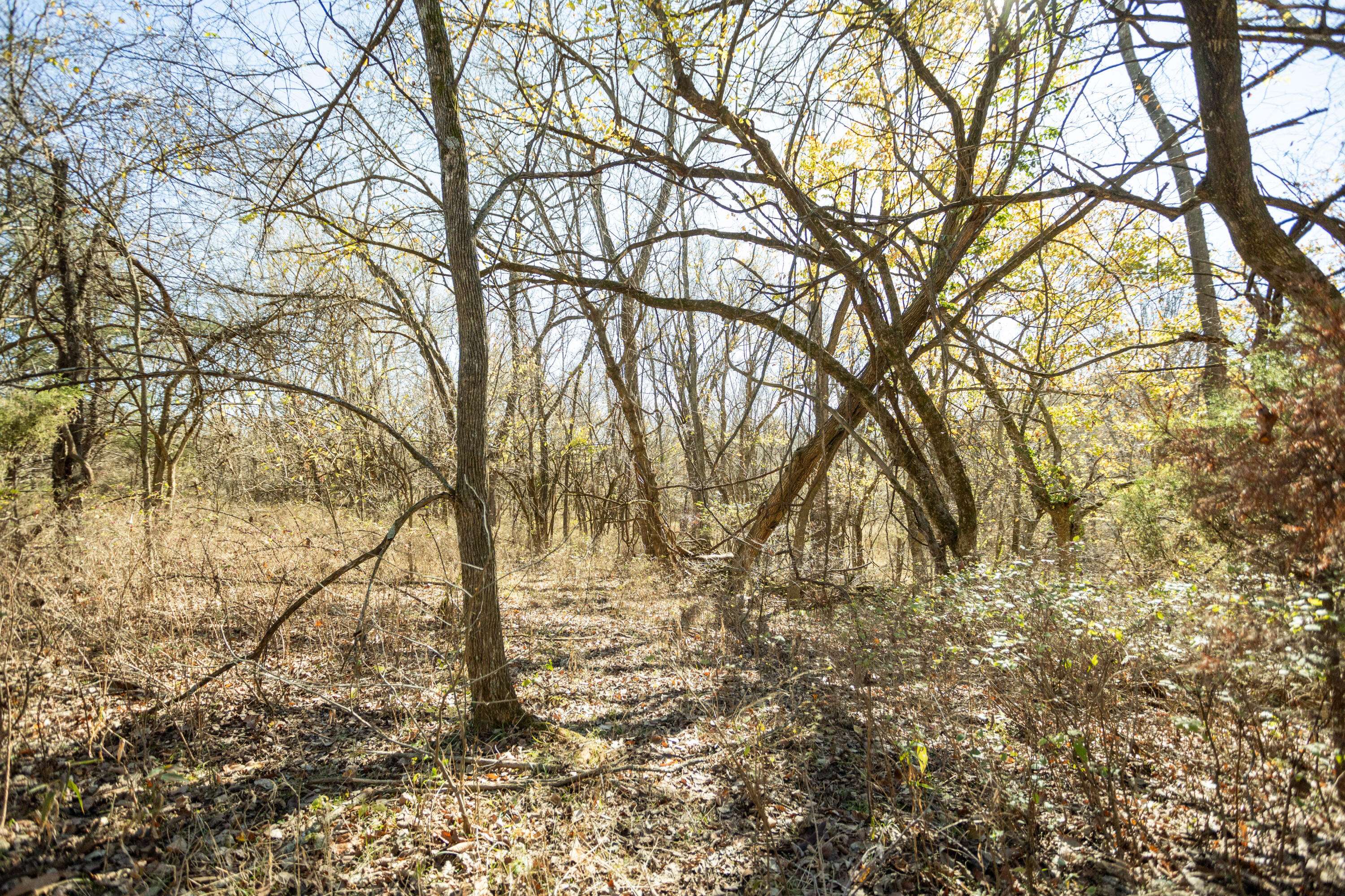 Bolivar, MO 65613,4277 S 140th Road