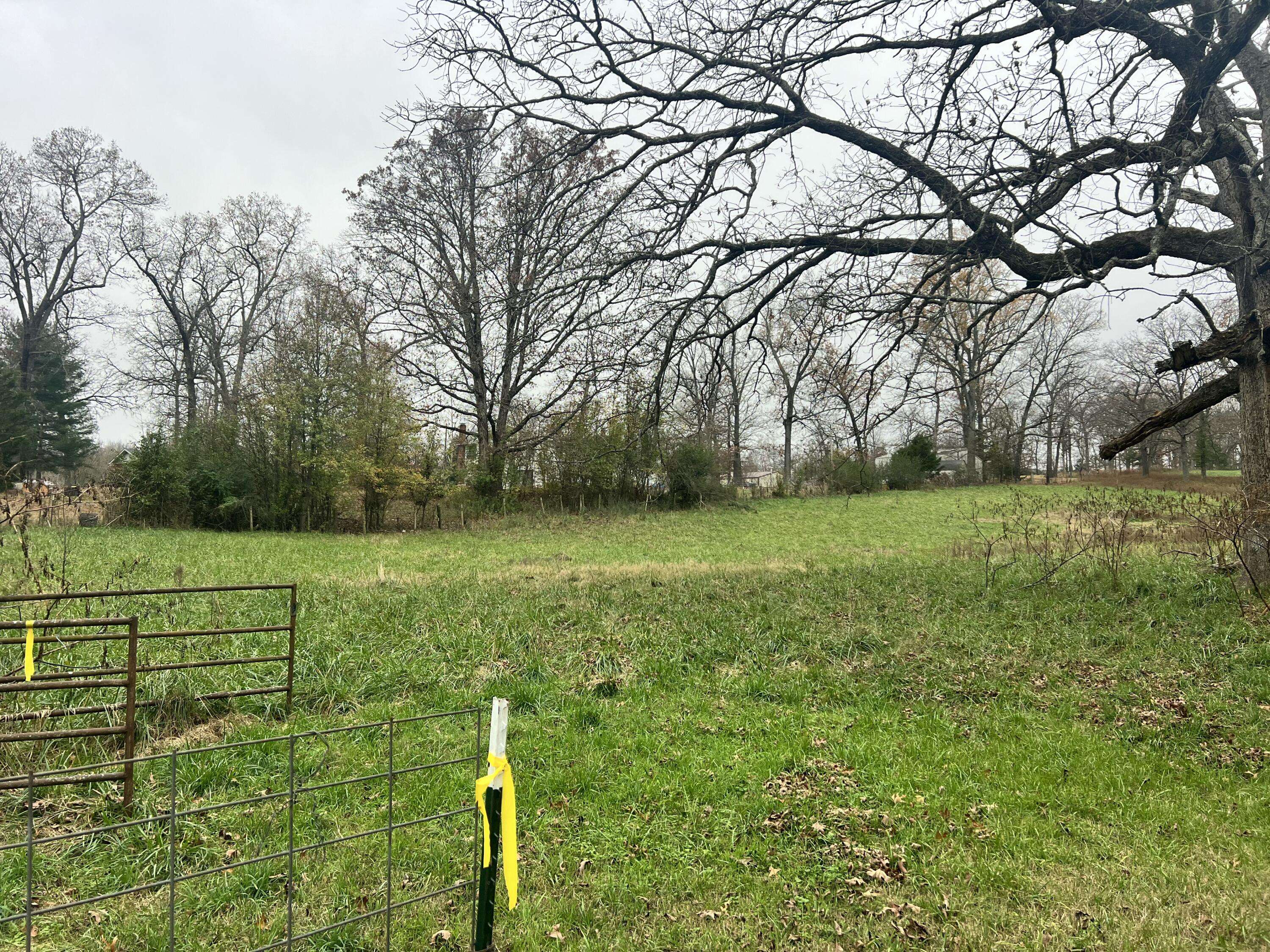 West Plains, MO 65775,1229 Allen Street