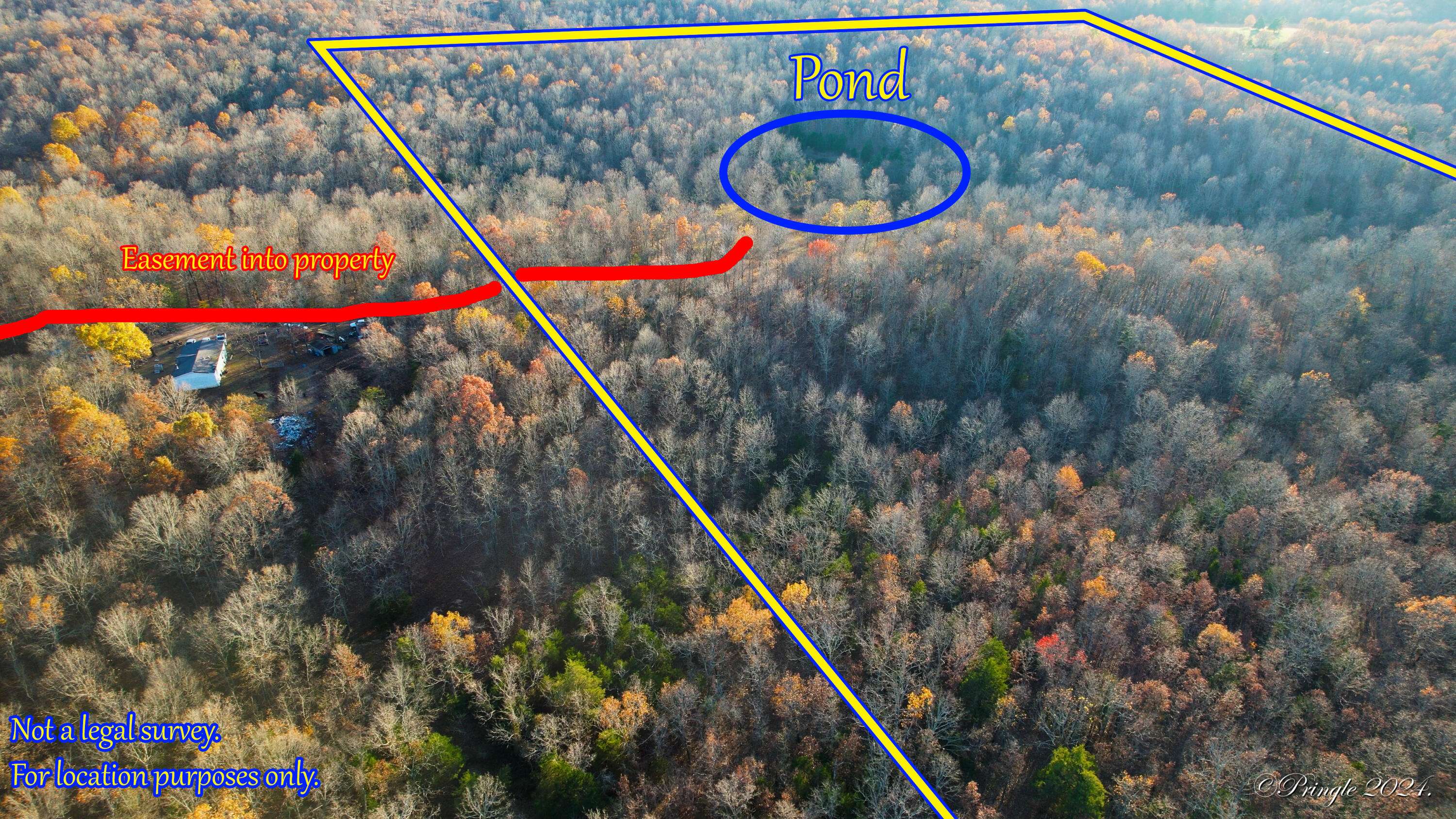 Thayer, MO 65791,000 County Rd 219
