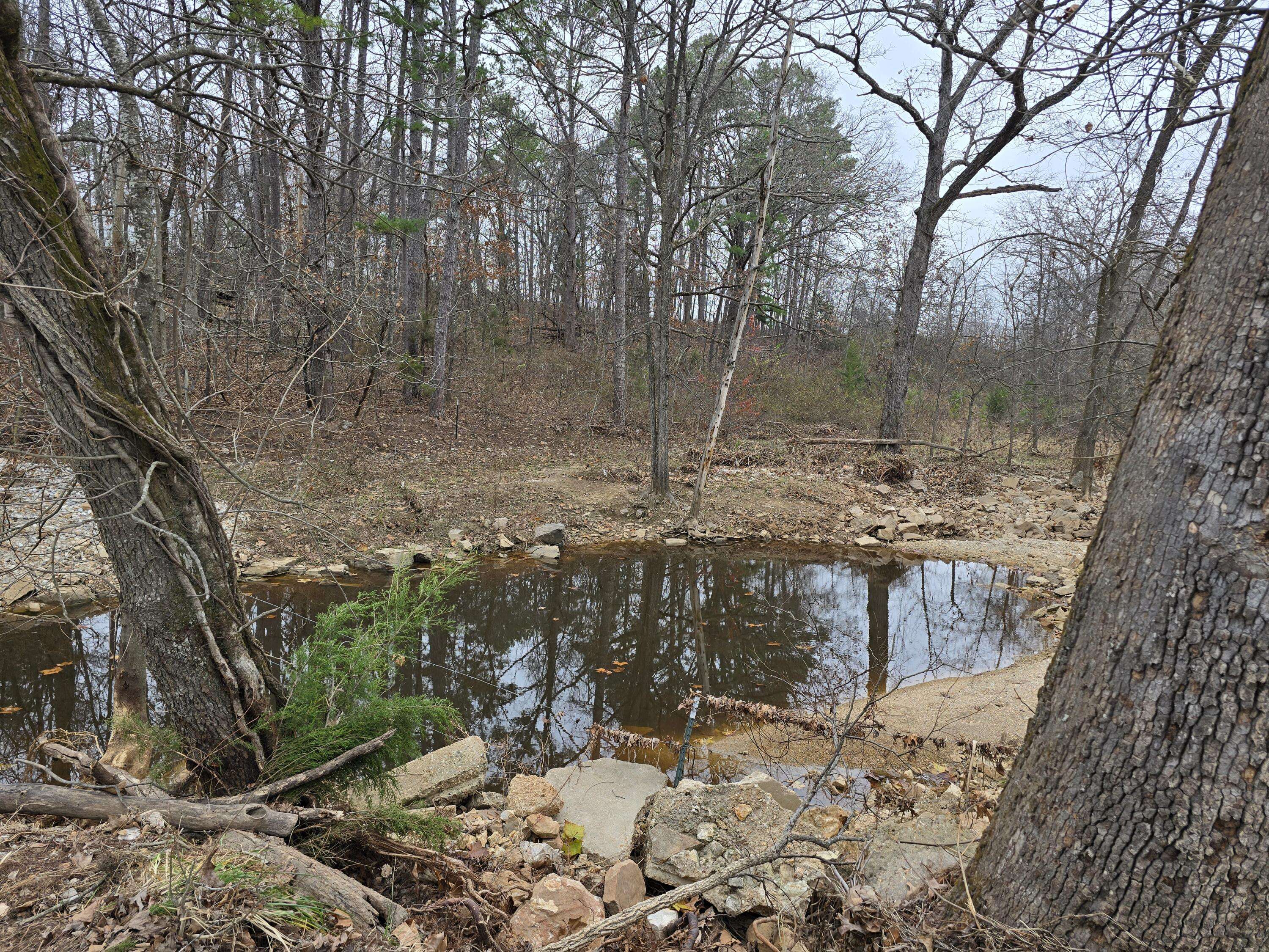Raymondville, MO 65555,000 Mccolgin  Road