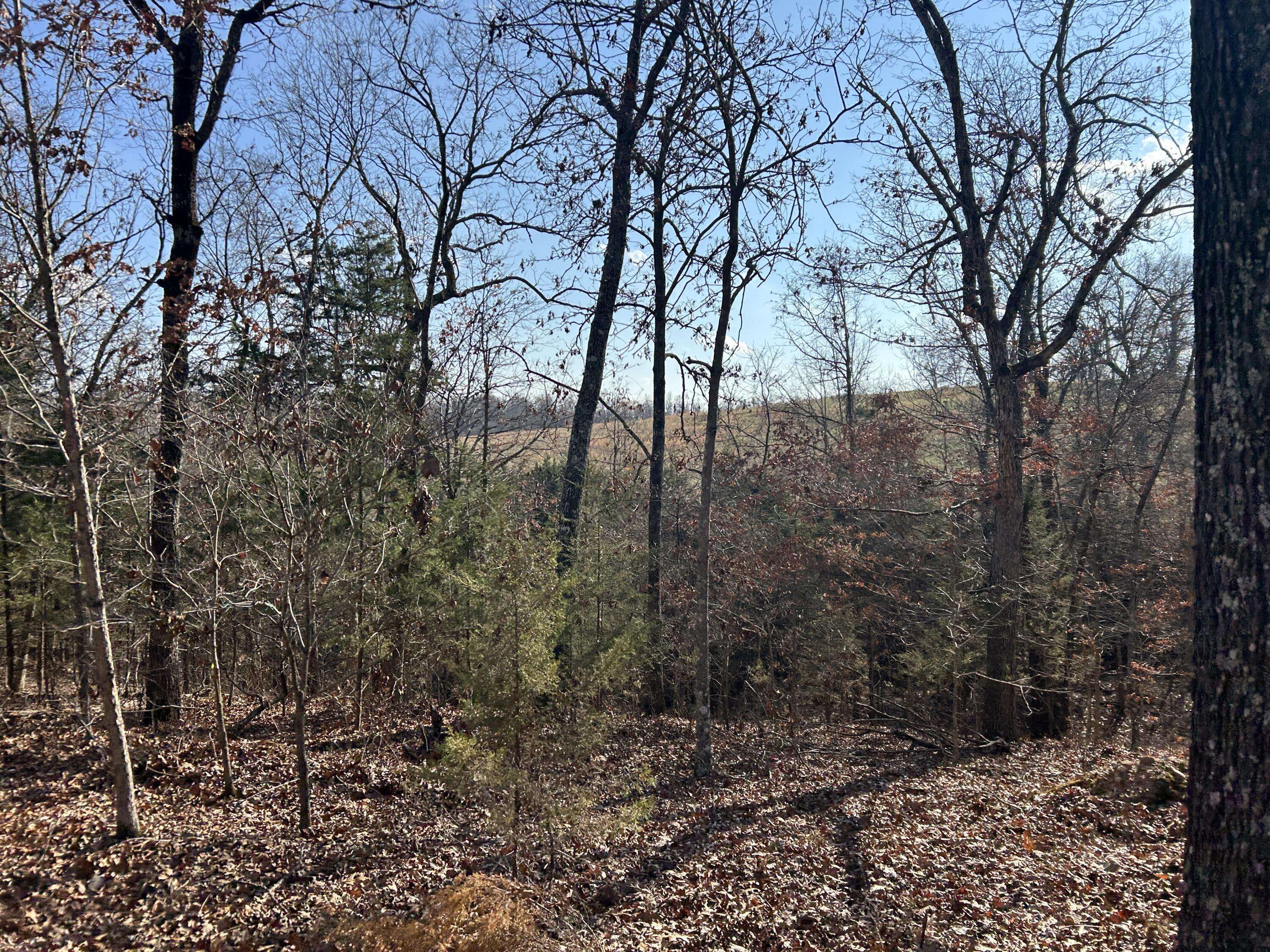 Theodosia, MO 65761,356 Rocky Ridge Lane