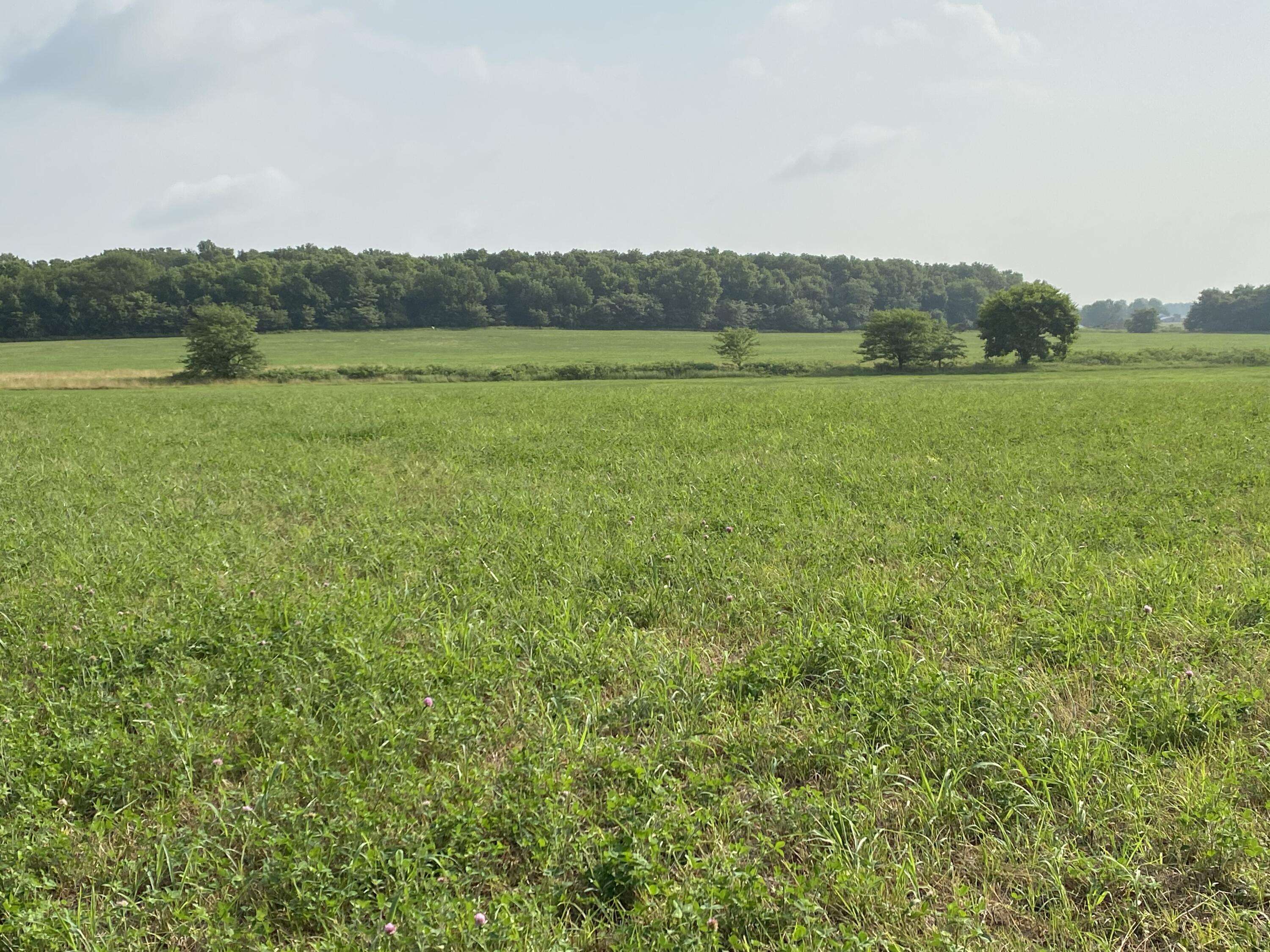 Lockwood, MO 65682,Tract 1 Dade 105