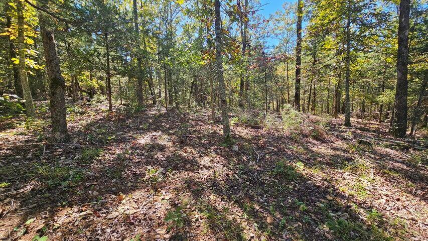 Theodosia, MO 65761,000 Rolling Hills Block 11 Lot 22