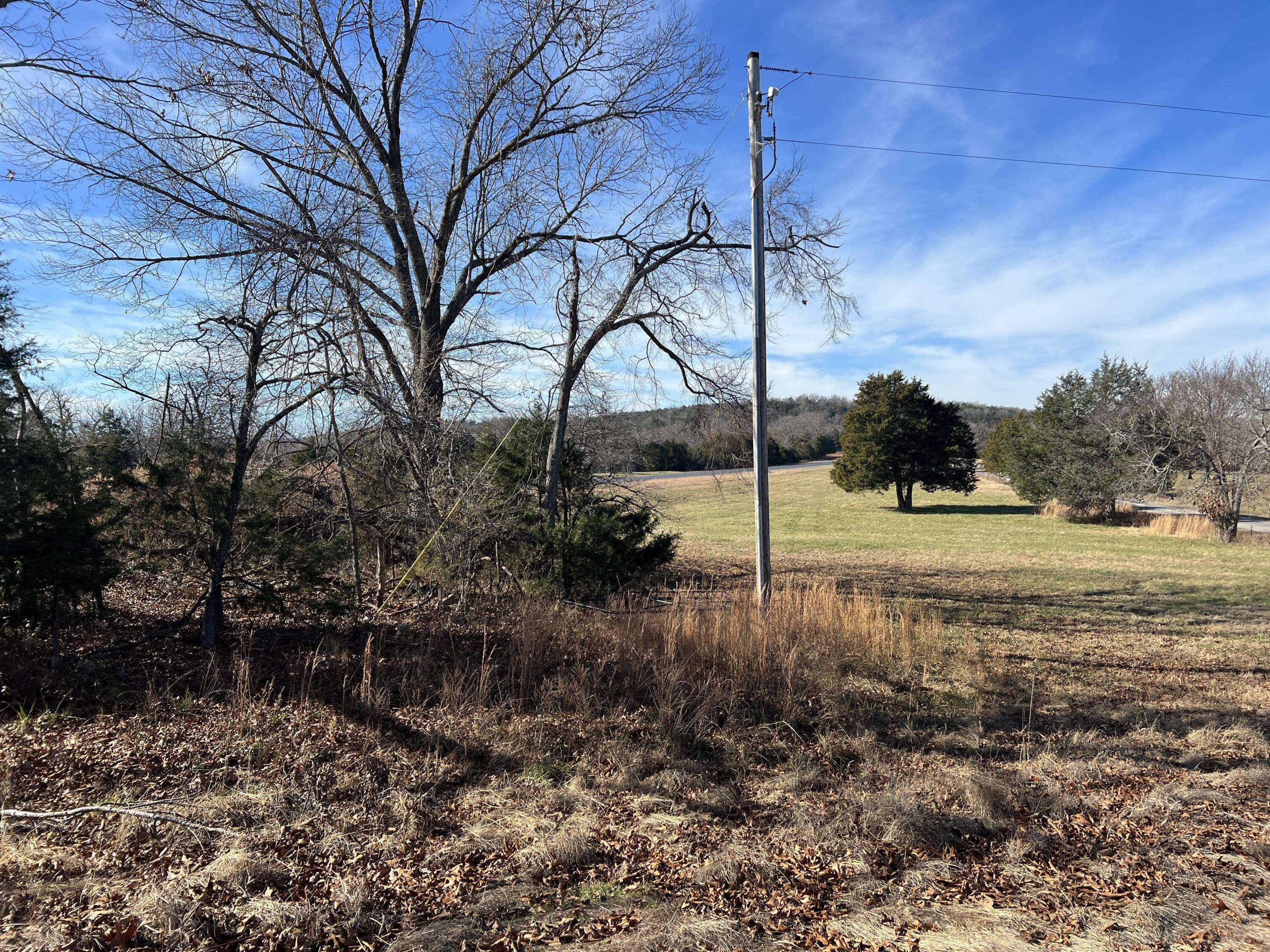 Theodosia, MO 65761,312 Eagle Wing Drive