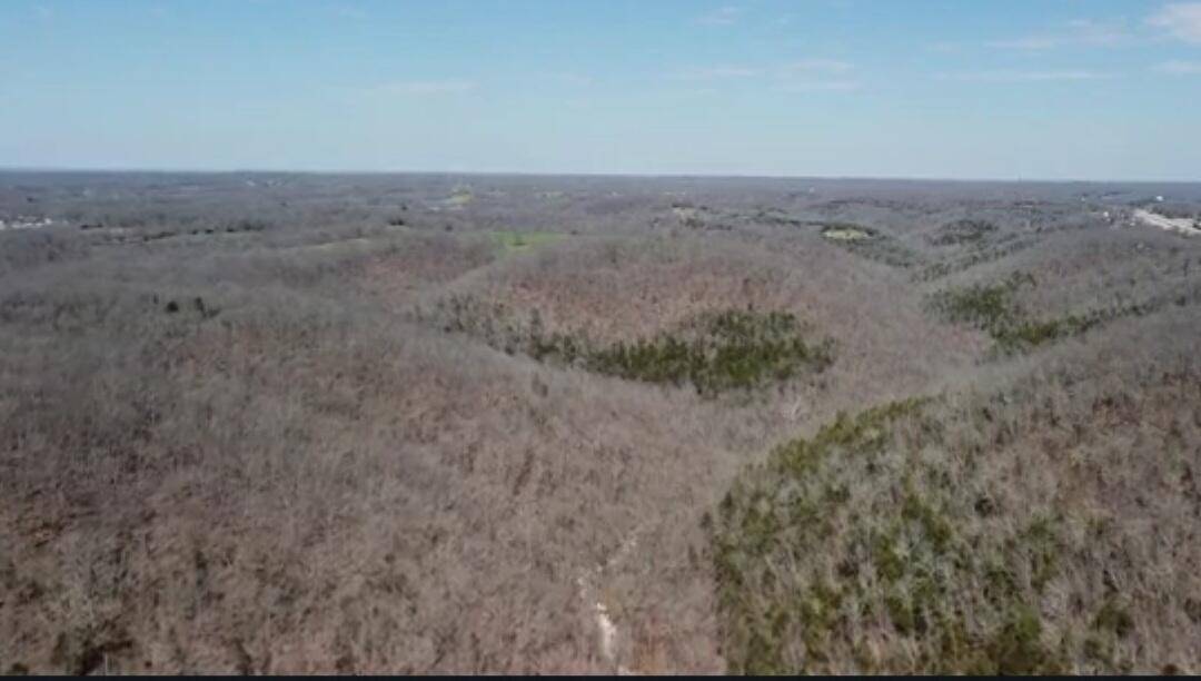 Highlandville, MO 65669,000 Burk Road