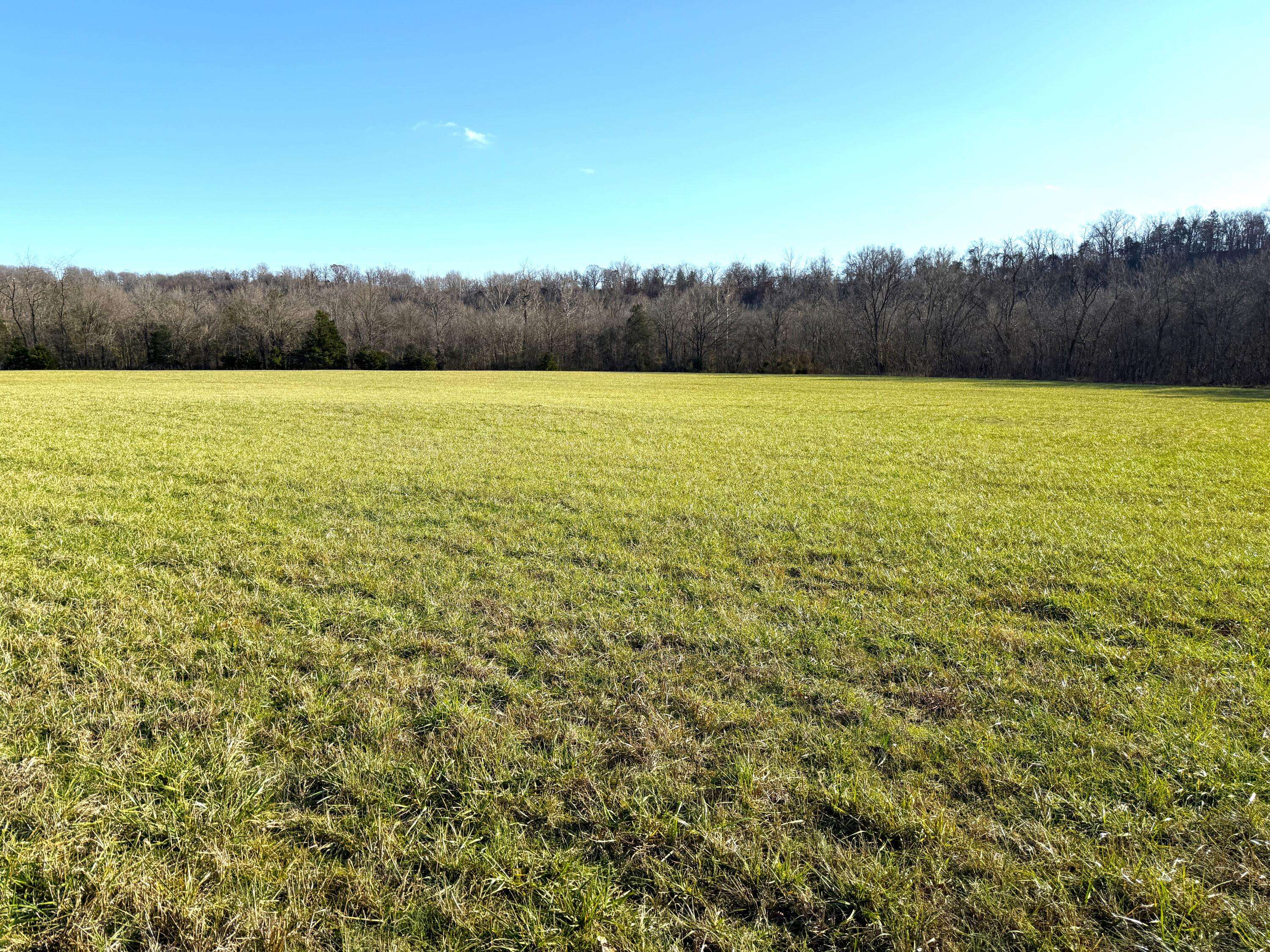 Powell, MO 65730,21.8 Acres Mikes Creek Road