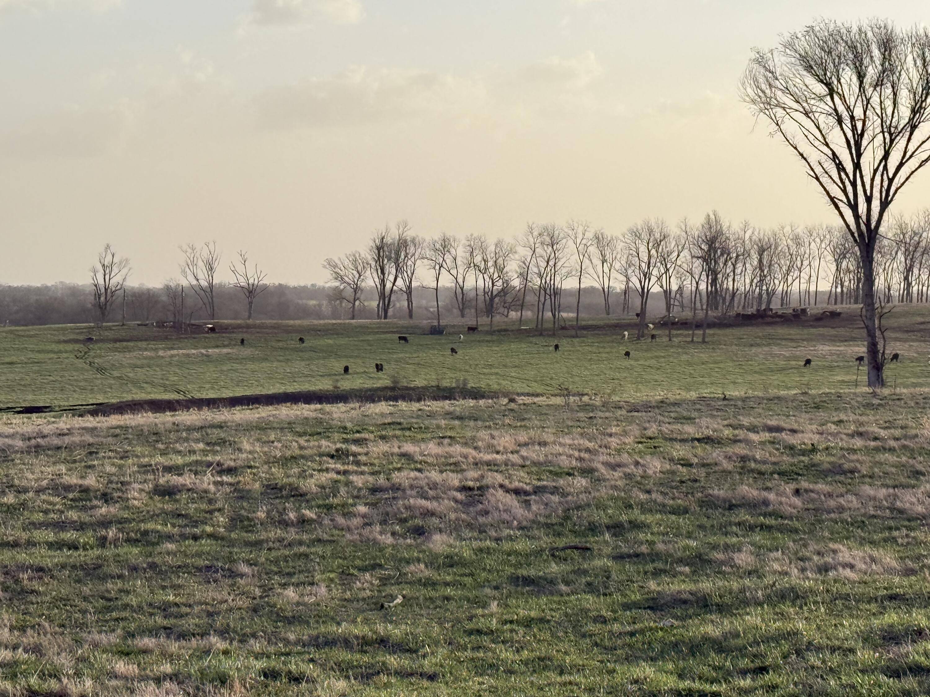 Lockwood, MO 65682,Tract 2 Dade 105