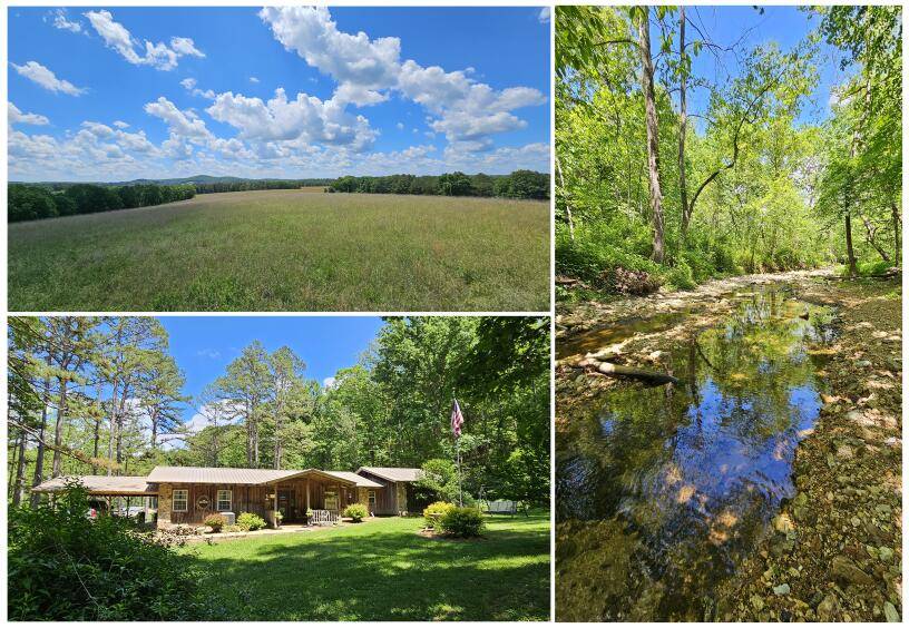 Vanzant, MO 65768,37286 County Road Ee-270