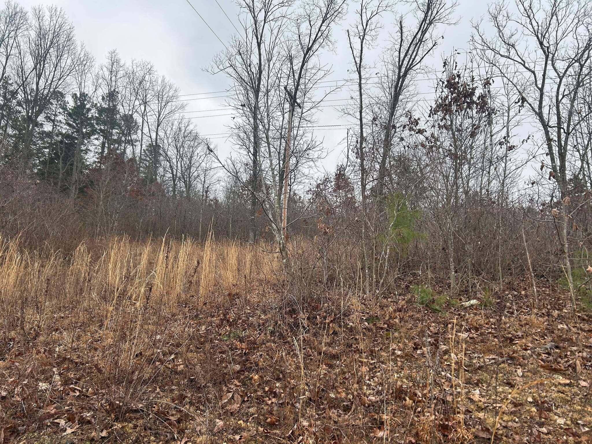 Norwood, MO 65717,Tbd County Road C-230