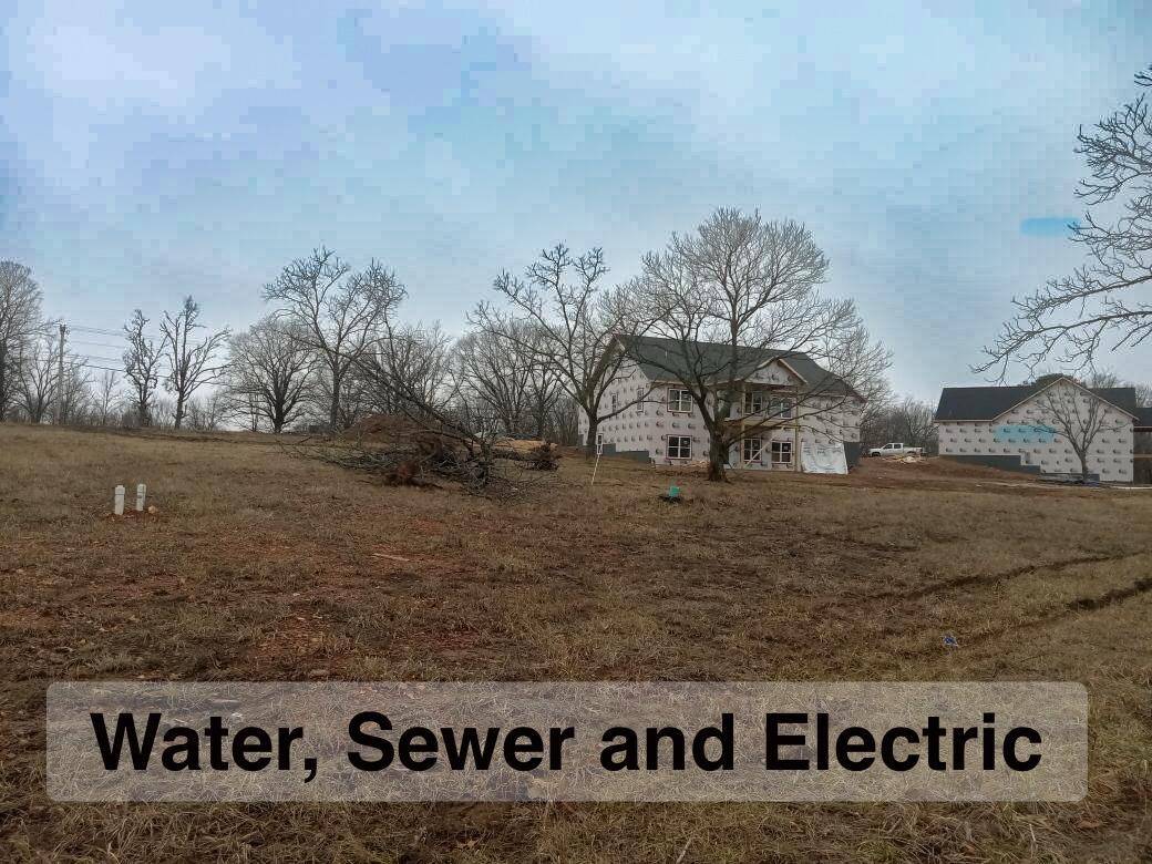 Reeds Spring, MO 65737,202 Wilderness Pines Lane #Lot 202